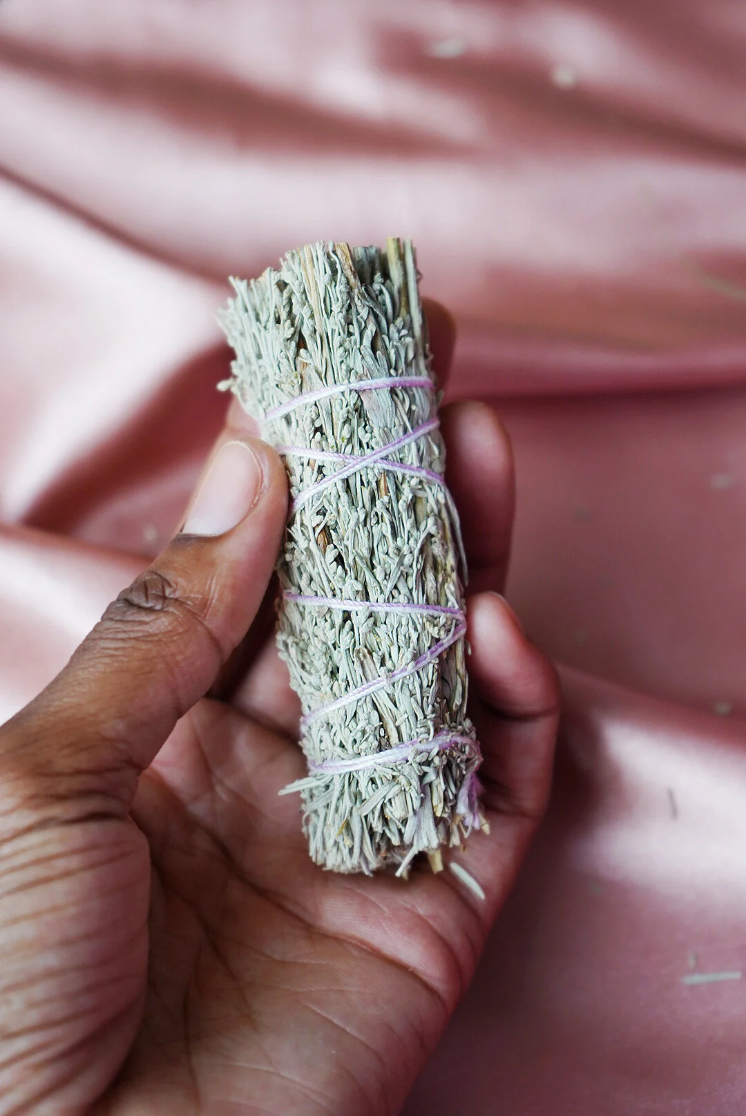 AfterlightImage 188.JPG