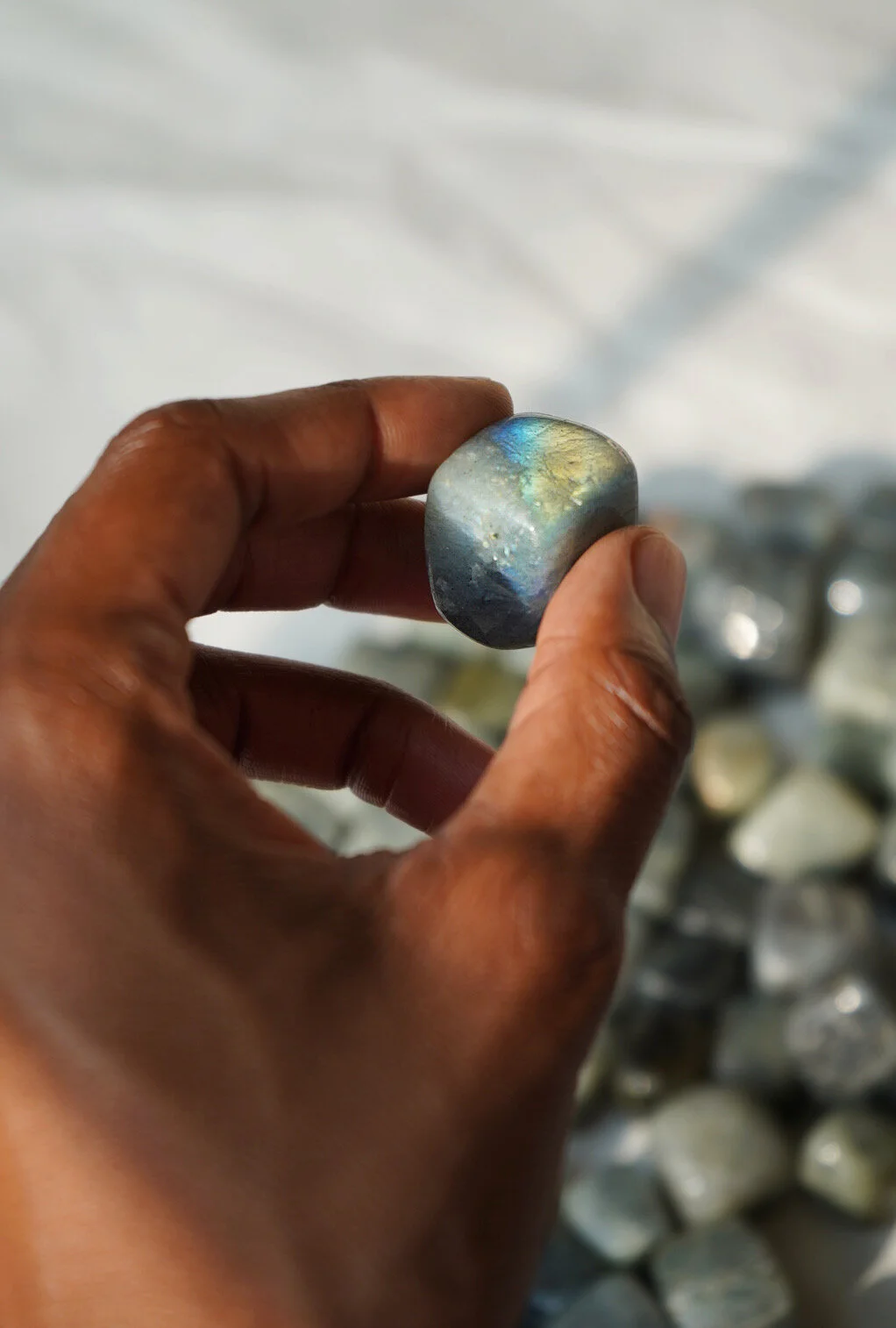 AfterlightImage 175.JPG