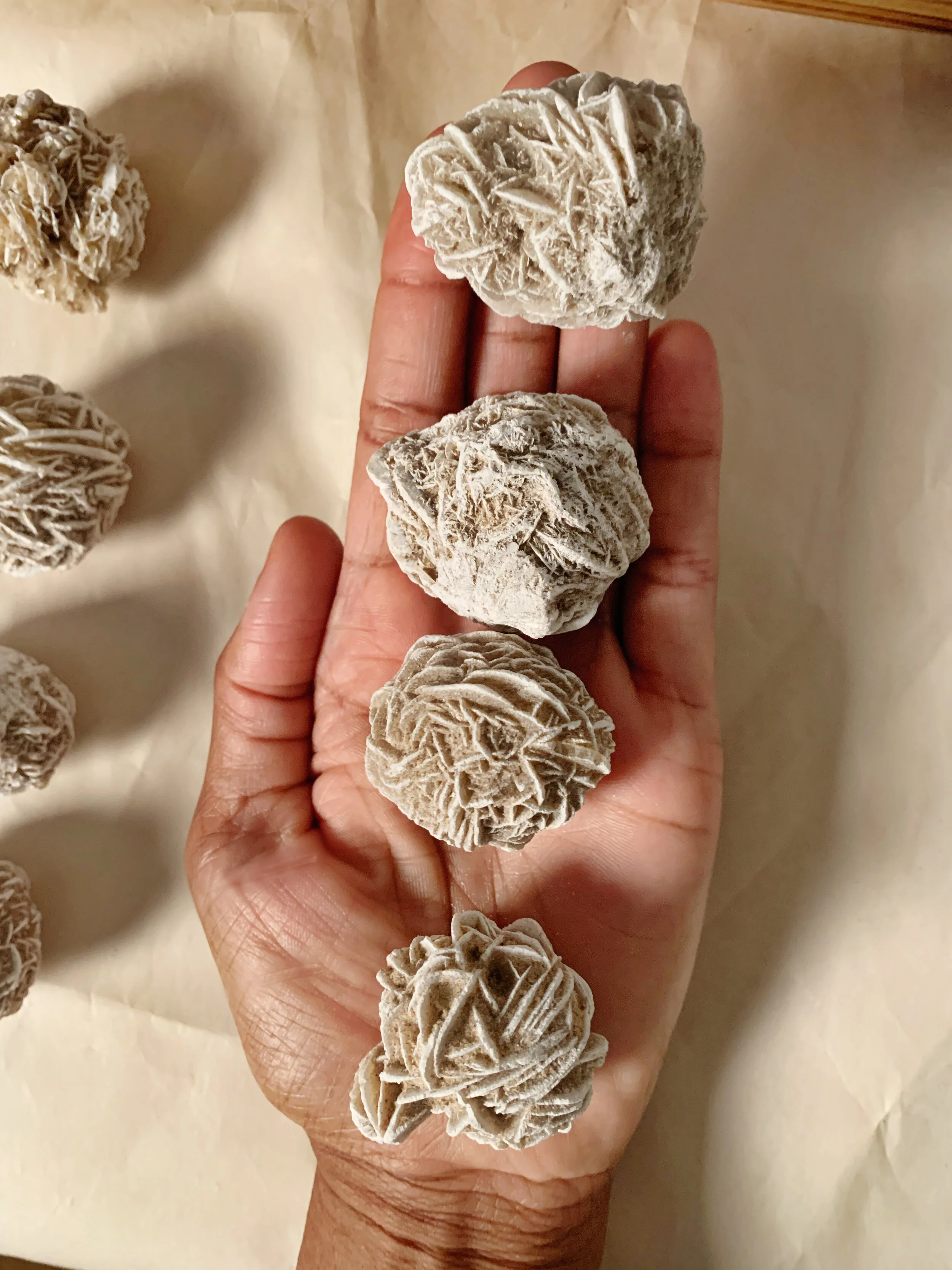 AfterlightImage 446.JPG