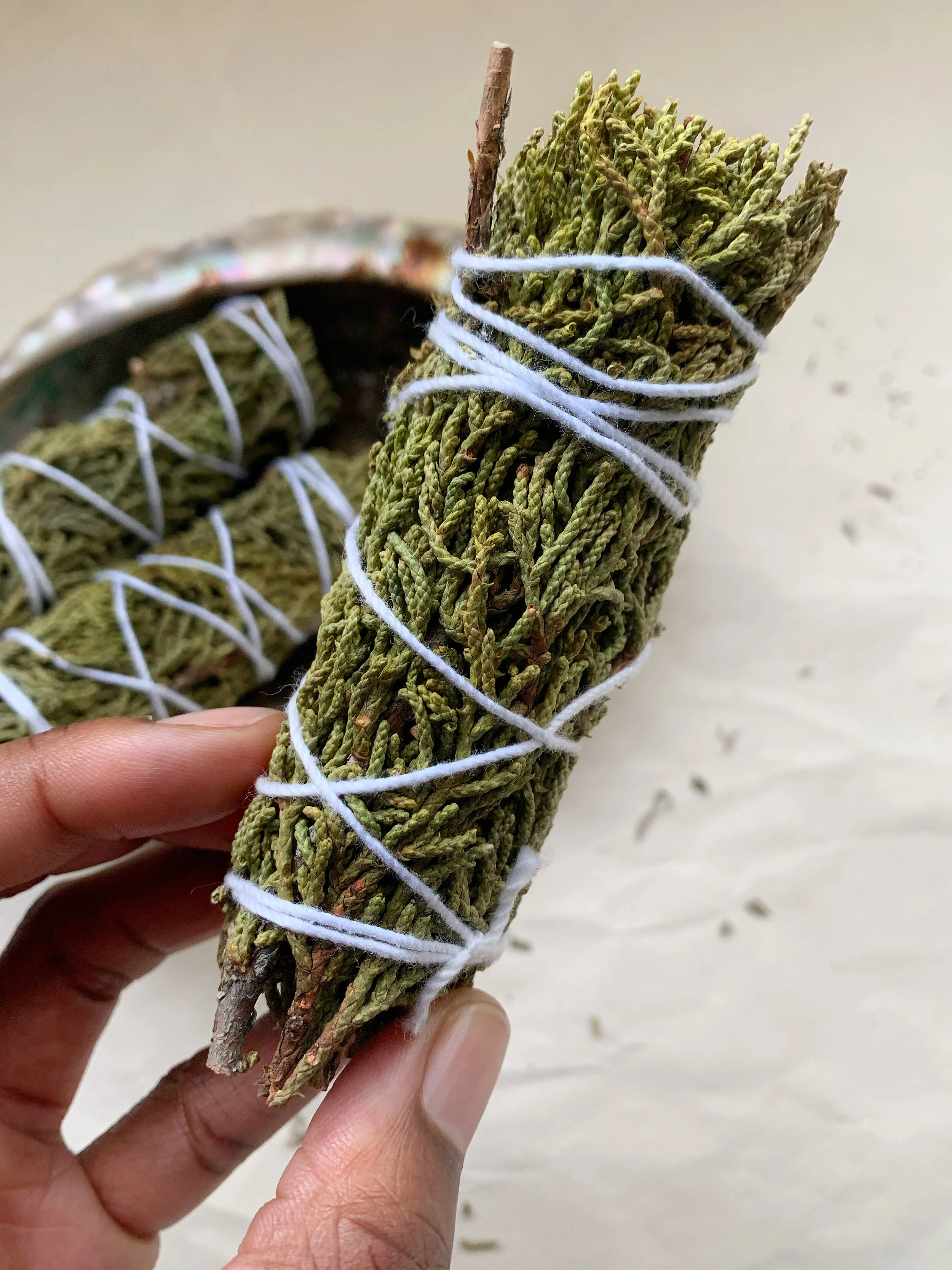 AfterlightImage 542.JPG