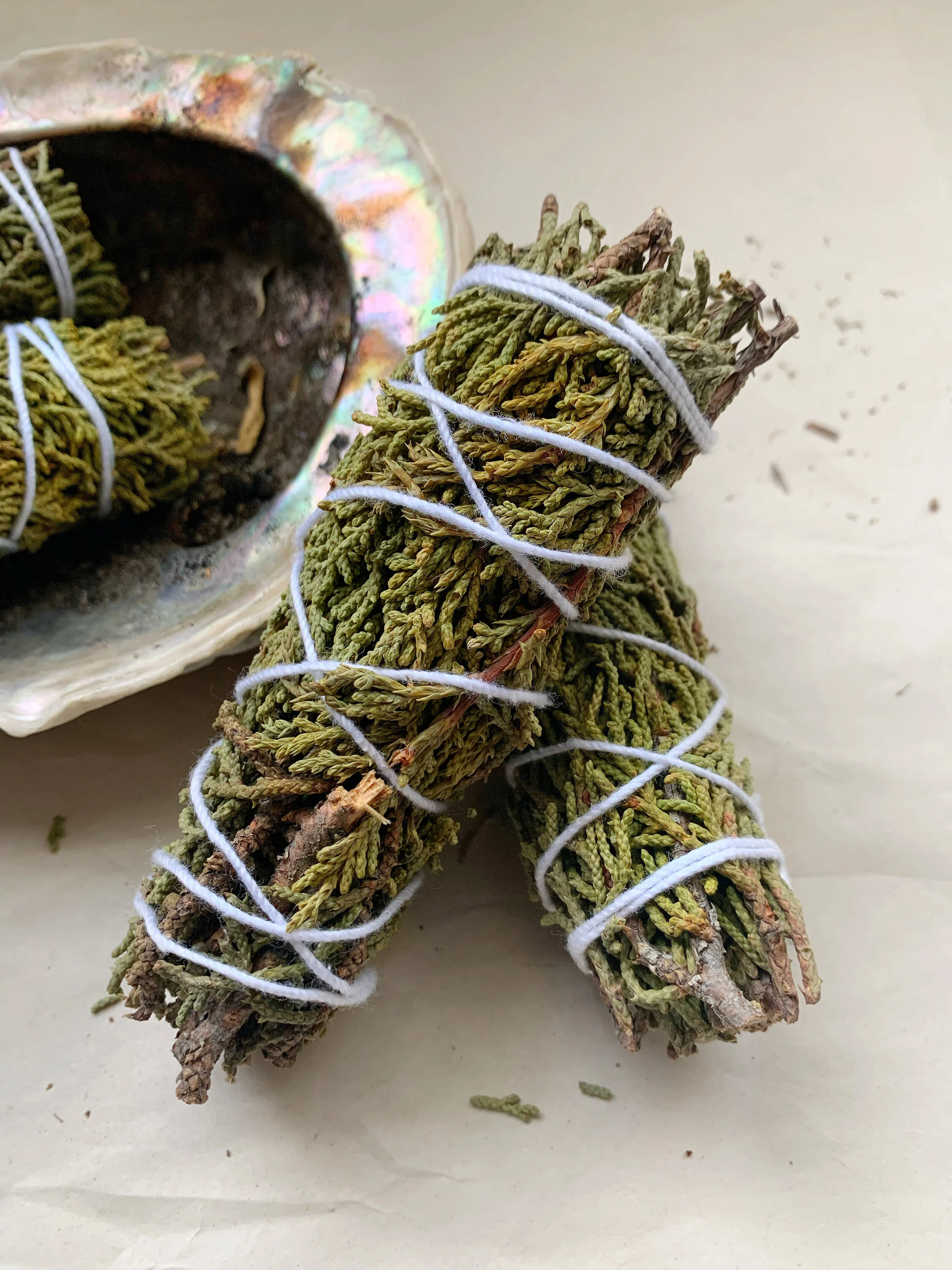 AfterlightImage 543.JPG