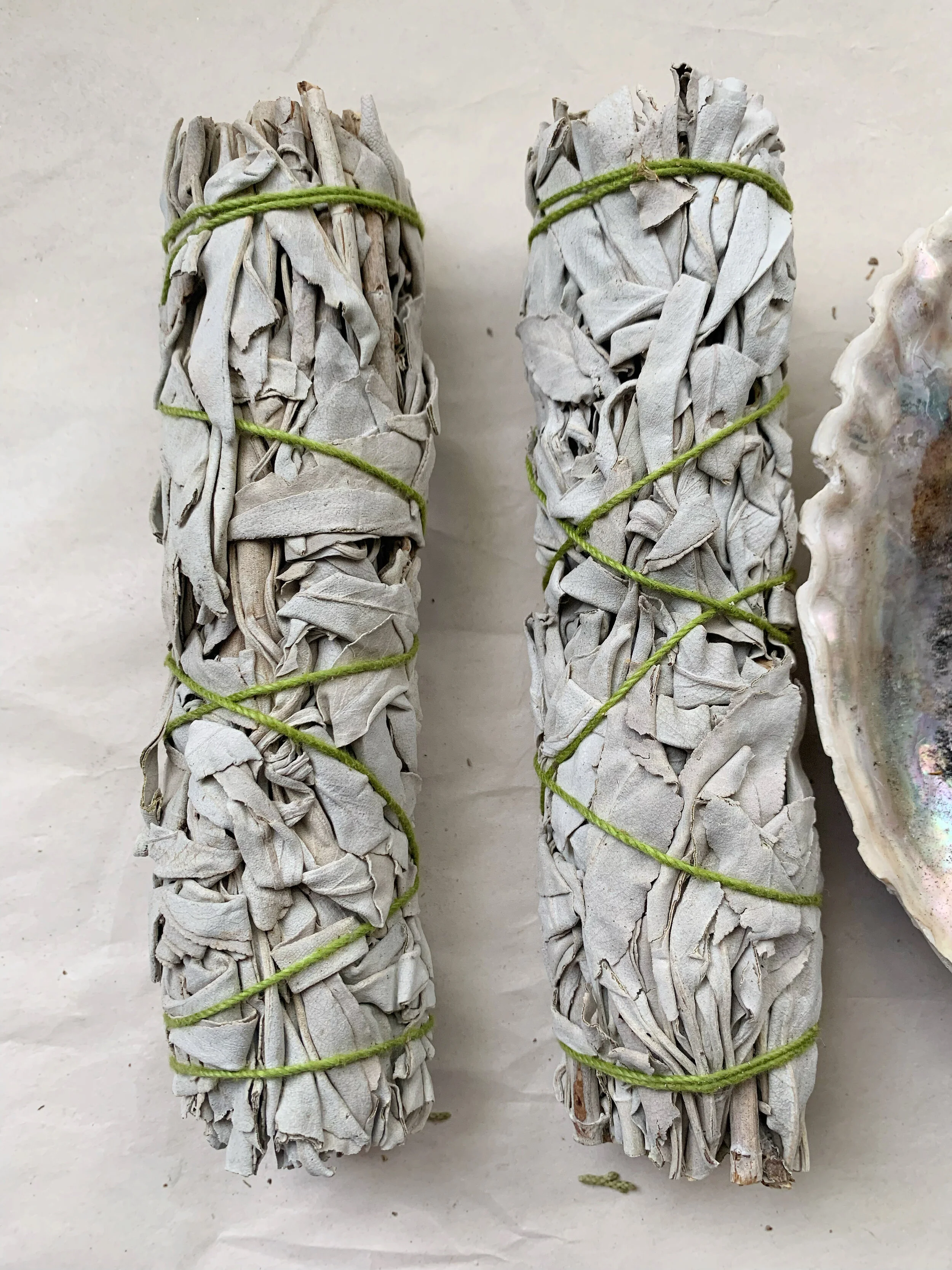 AfterlightImage 544.JPG