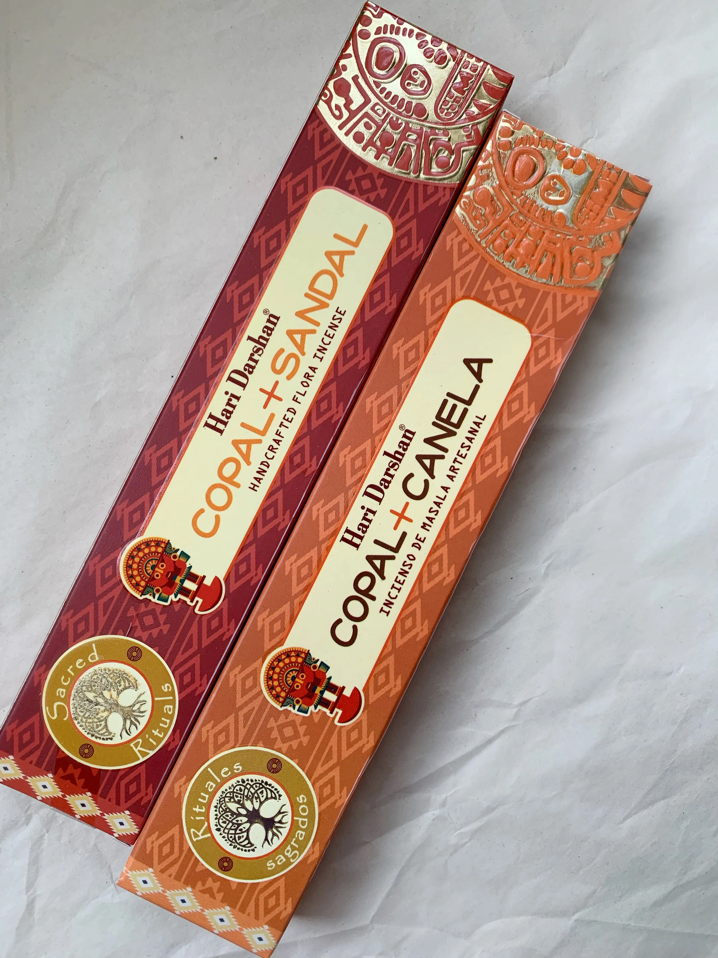 AfterlightImage 546.JPG