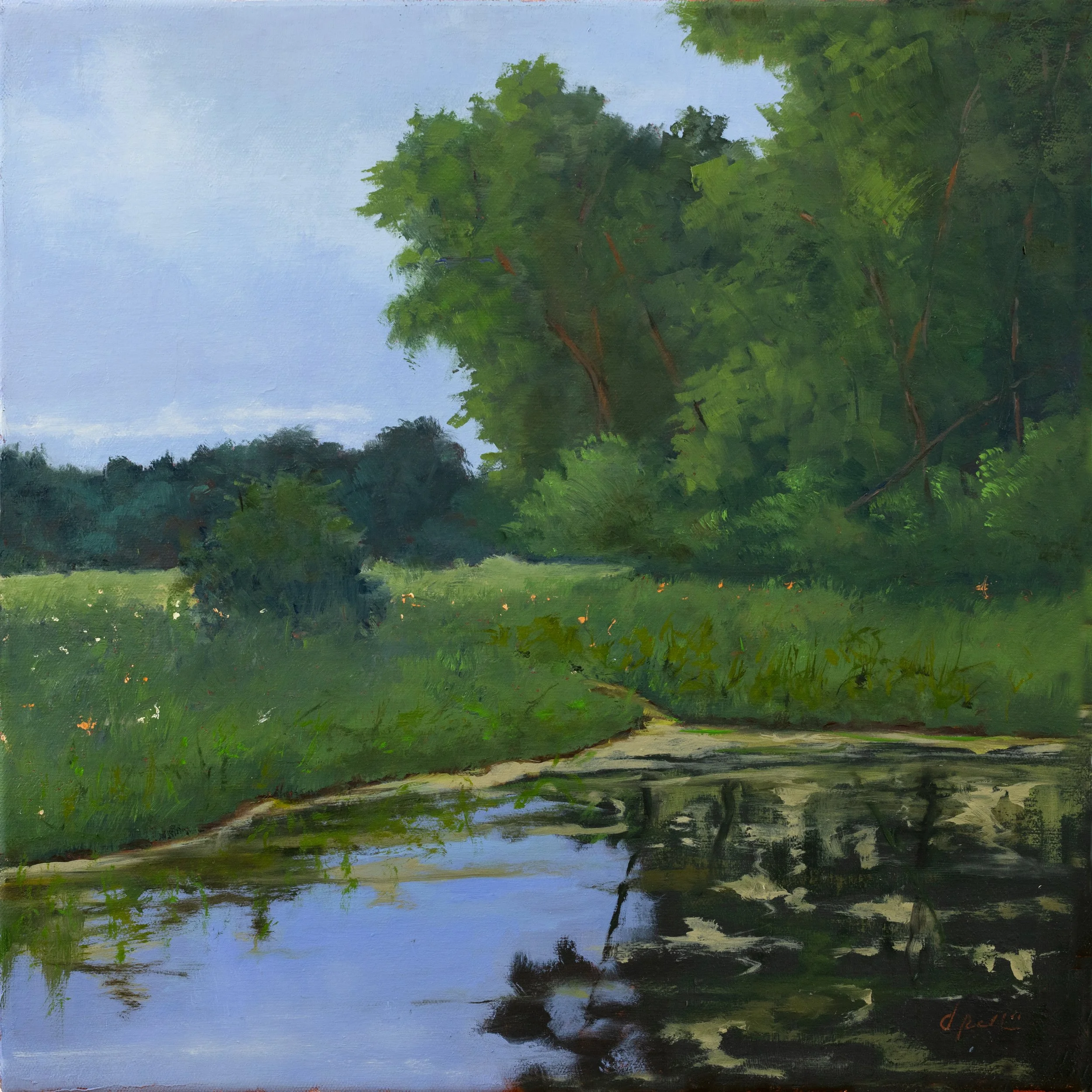 Diz's Pond.jpg