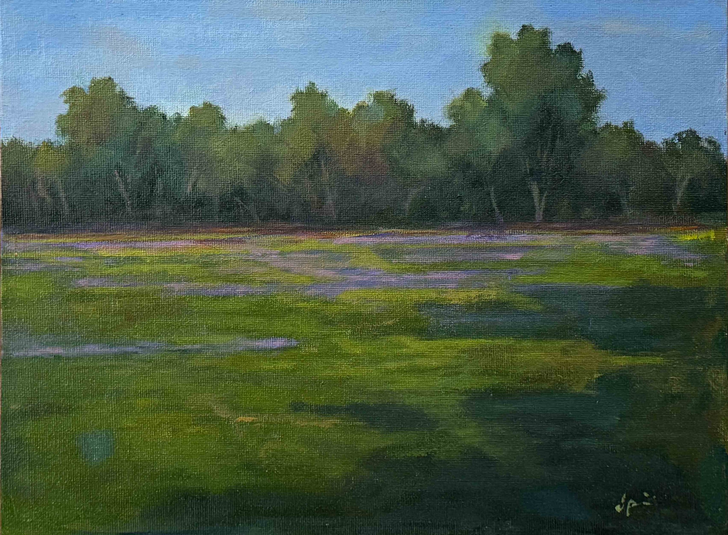 DEAD NETTLE FIELD.jpg