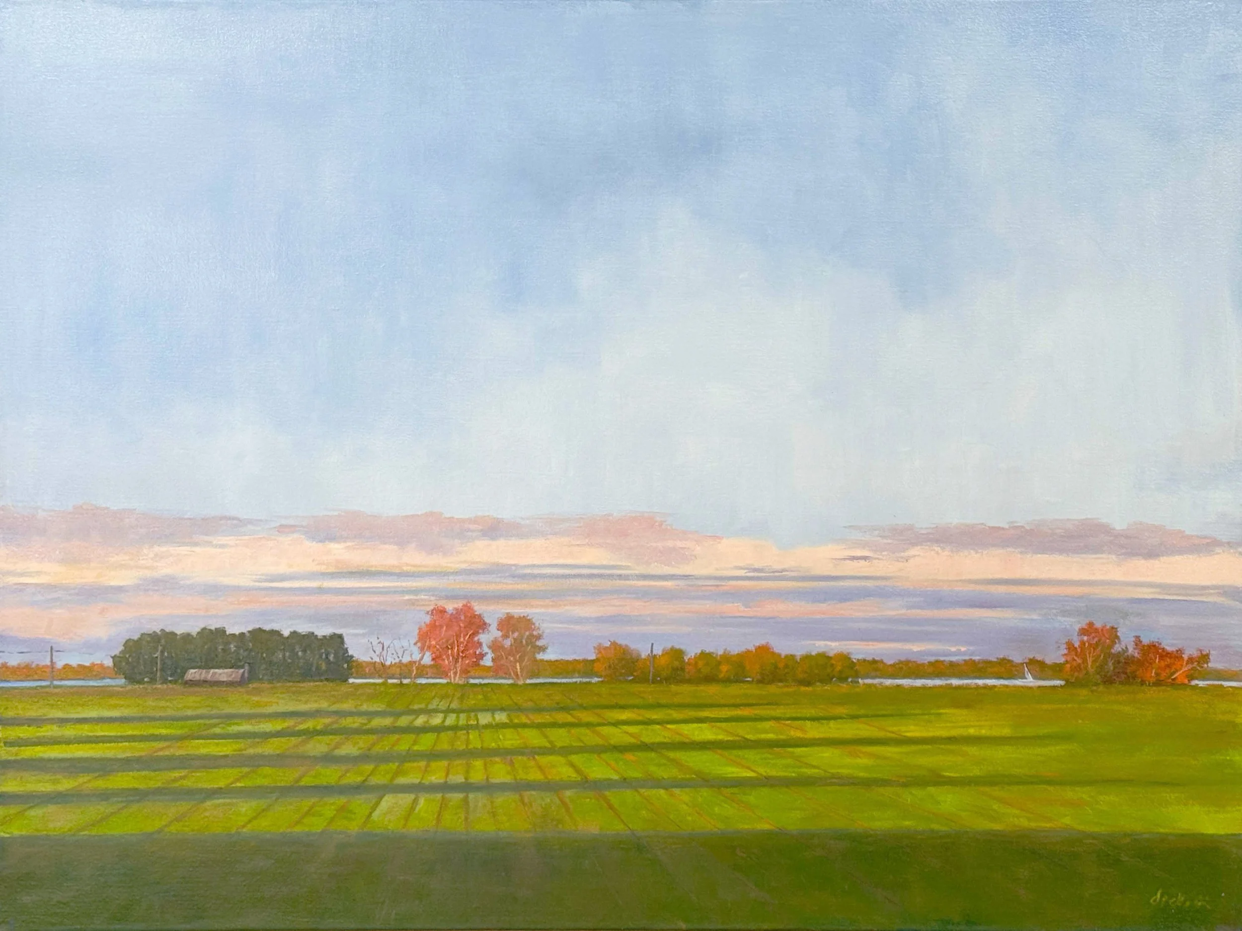 Oxford Farm.jpg