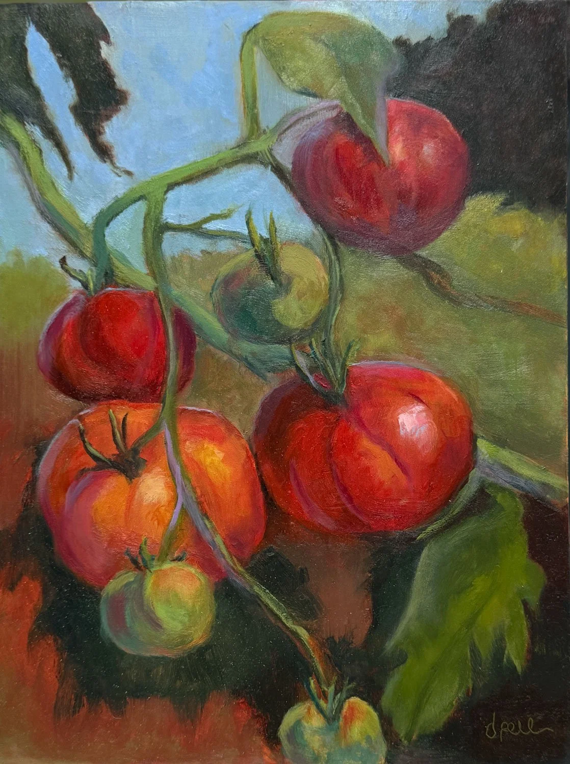 Tomato Vine.jpg