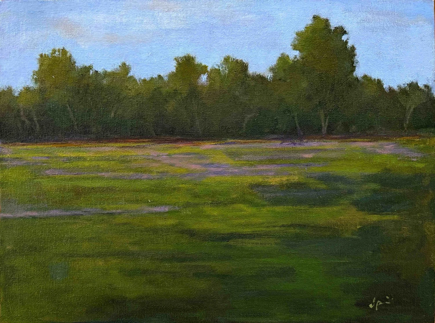 Dead Nettle Field.jpg