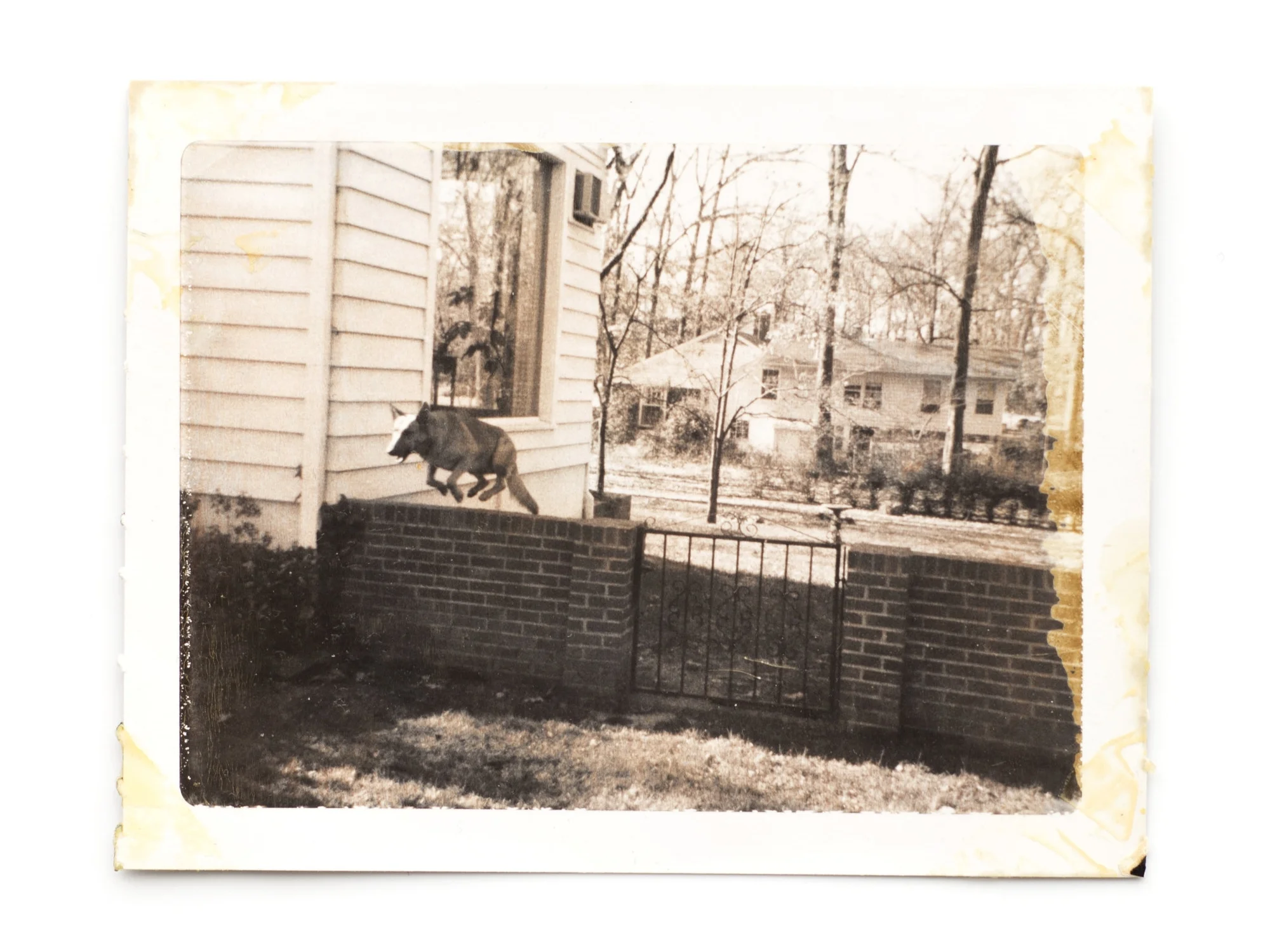 Mike jumping 1960s / 2015 Vintage print 2x2.25”