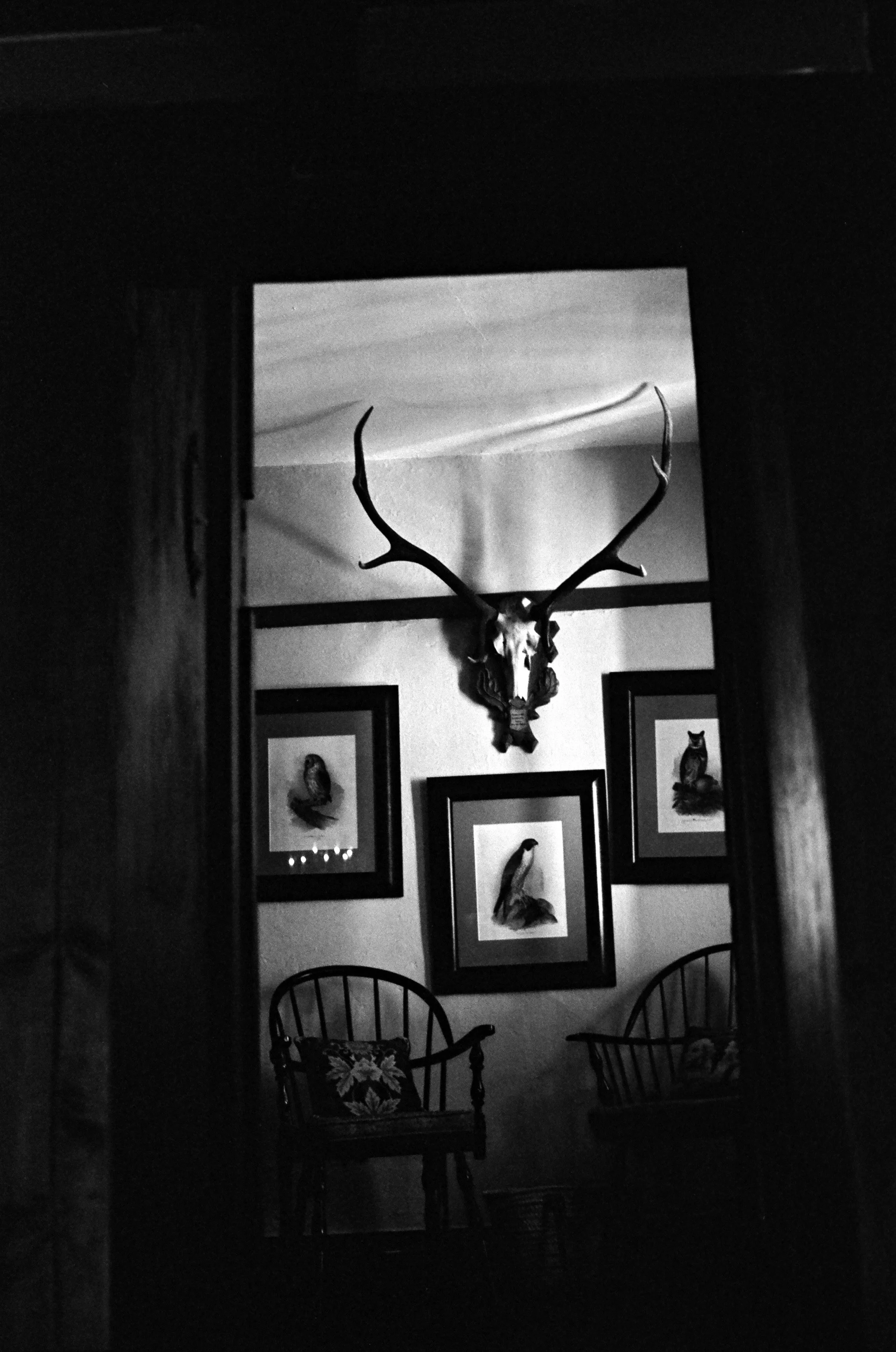 Antlers in the Doorway.JPEG