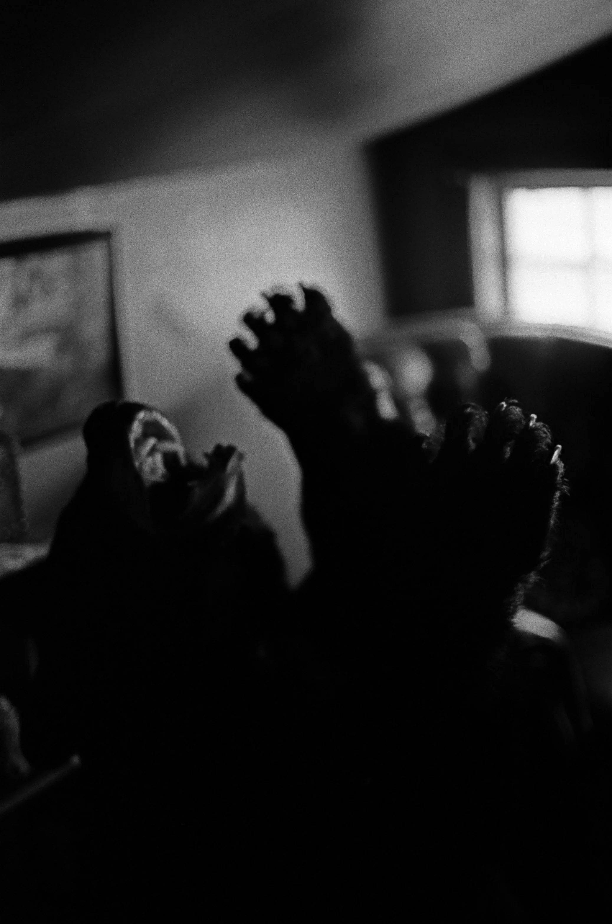 Stuffed Black Bear.JPEG