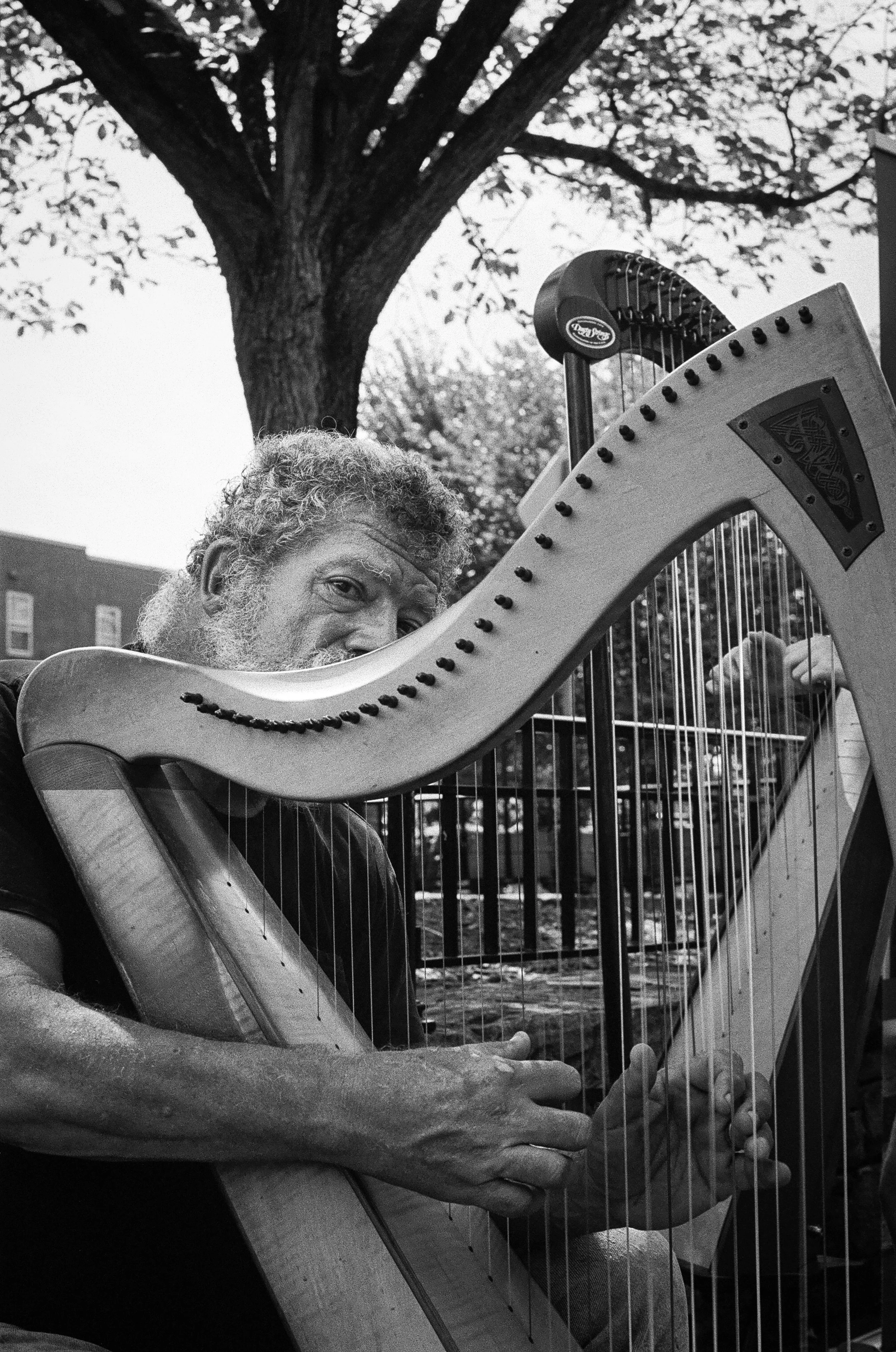 Harpist in Frederick.jpg