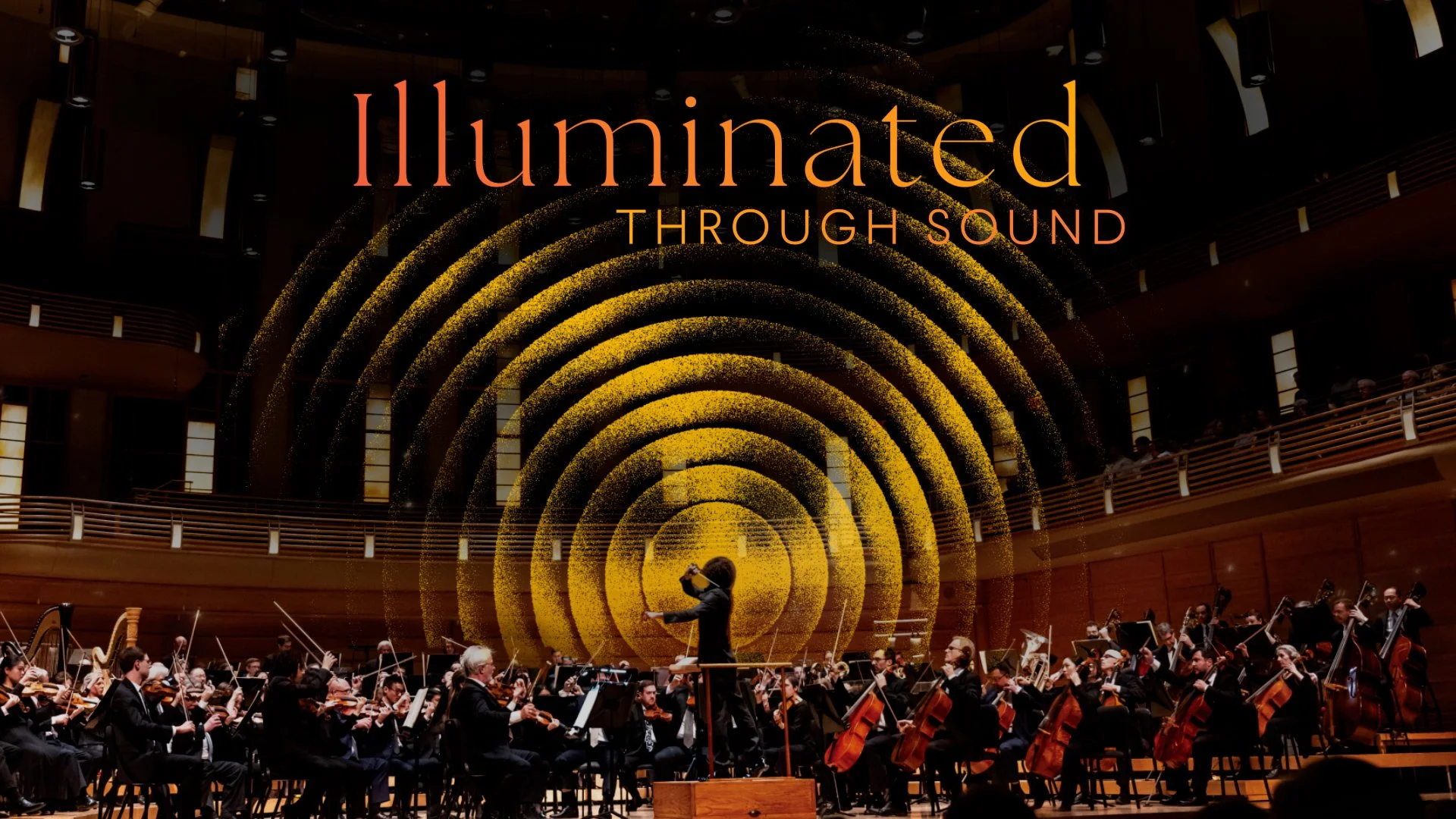 Welcome to the BSO's 2026-27 Season!