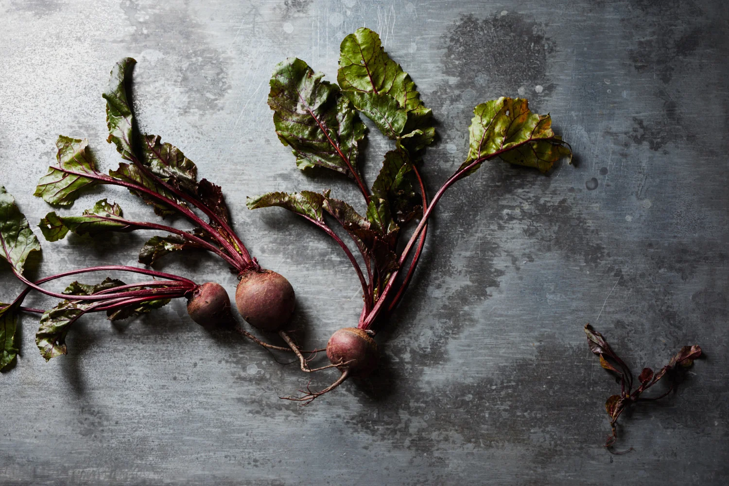 LowRes_CG-FB_00_Beetroot_022.jpg