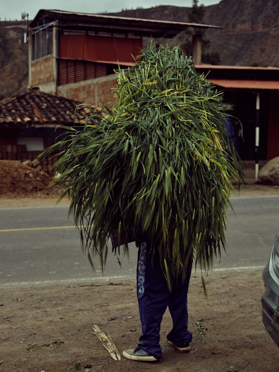 ©Facundo Bustamante_241119_ValleSagrado_Peru_0508.jpg