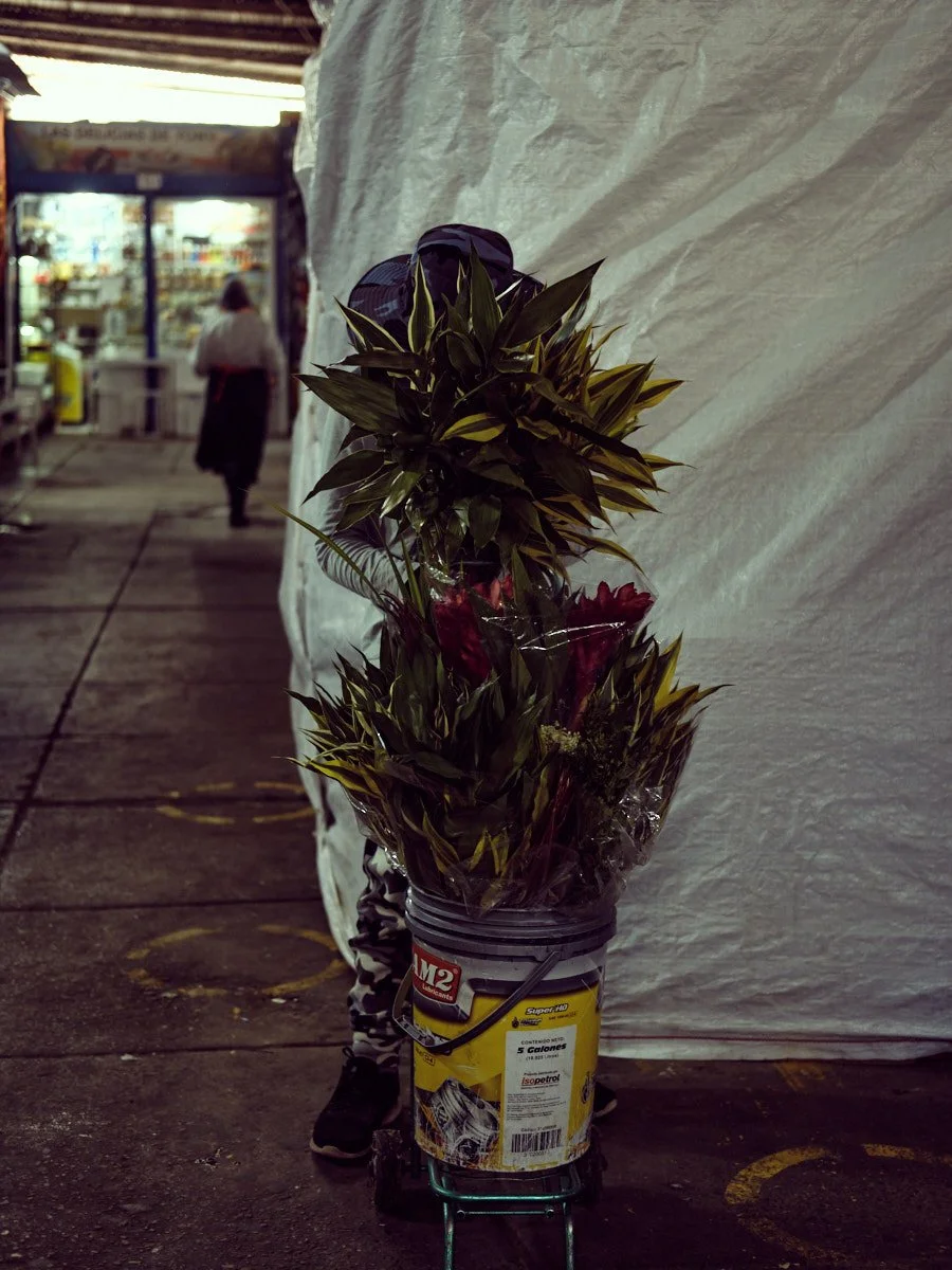 ©Facundo Bustamante_241119_ValleSagrado_Peru_2516.jpg