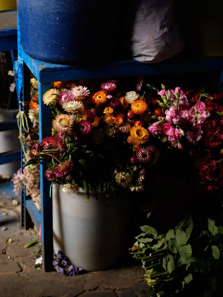 ©Facundo Bustamante_241119_ValleSagrado_Peru_2539.jpg