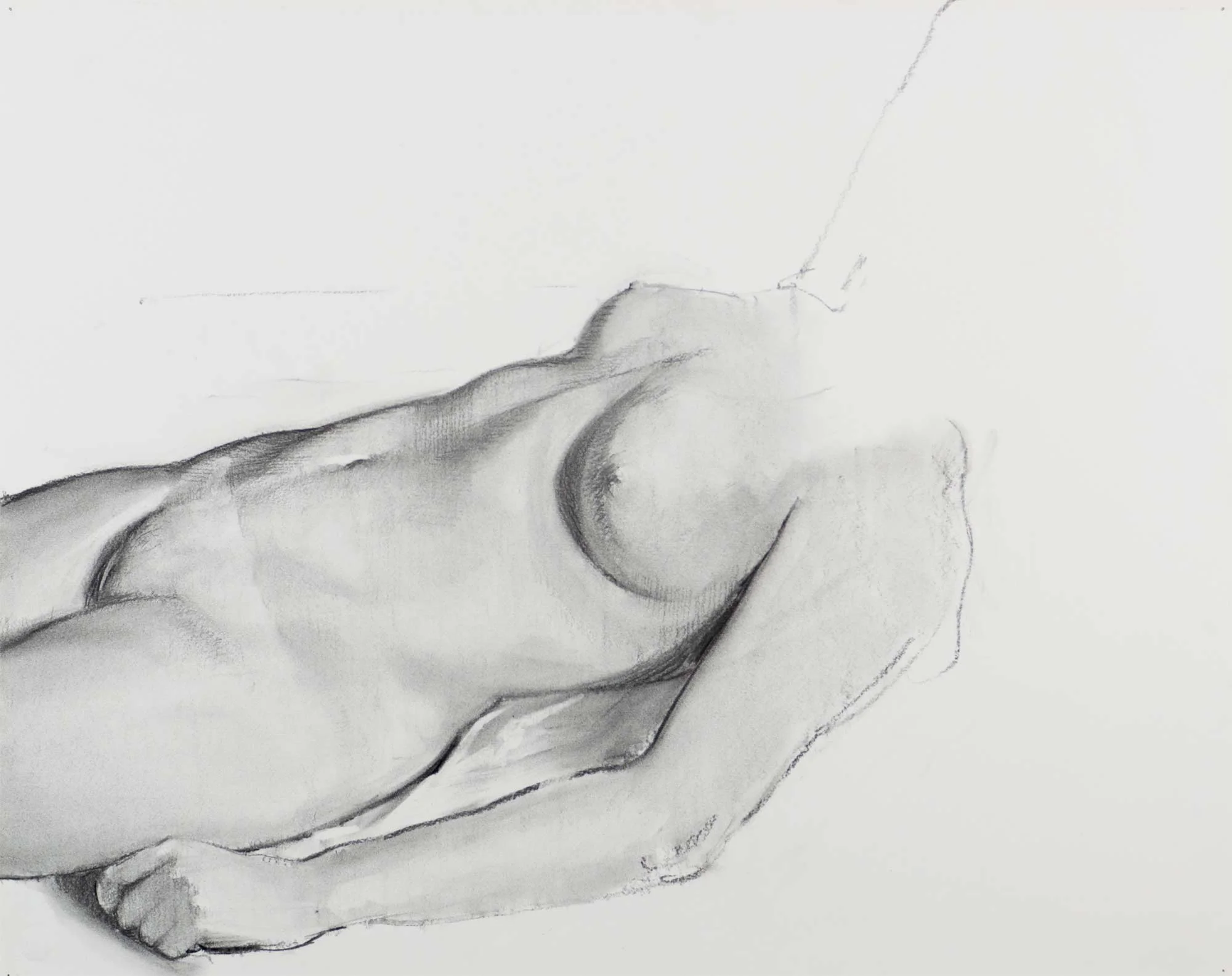 Torso Study