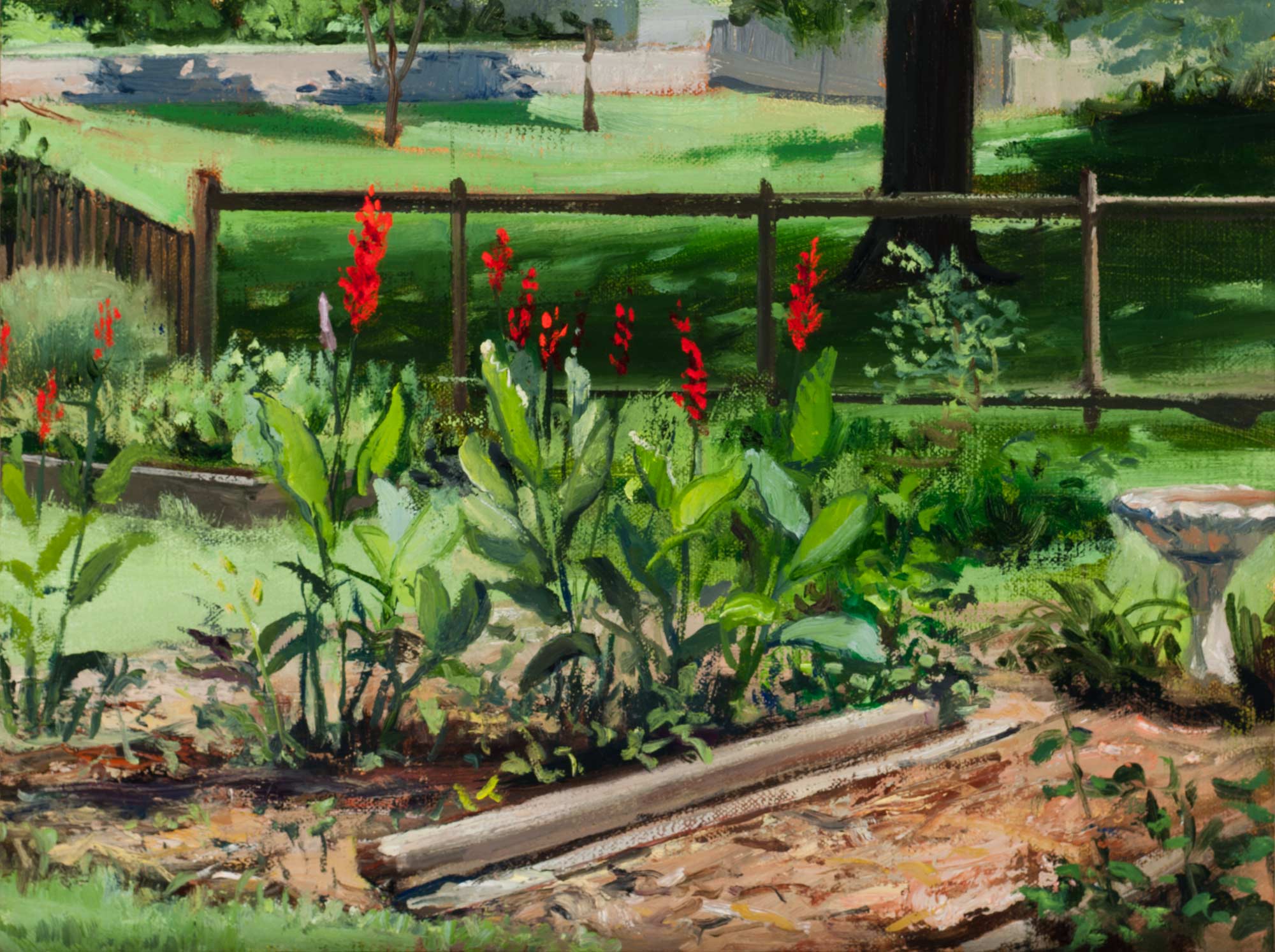 Cannas In Ann's Cutting Garden