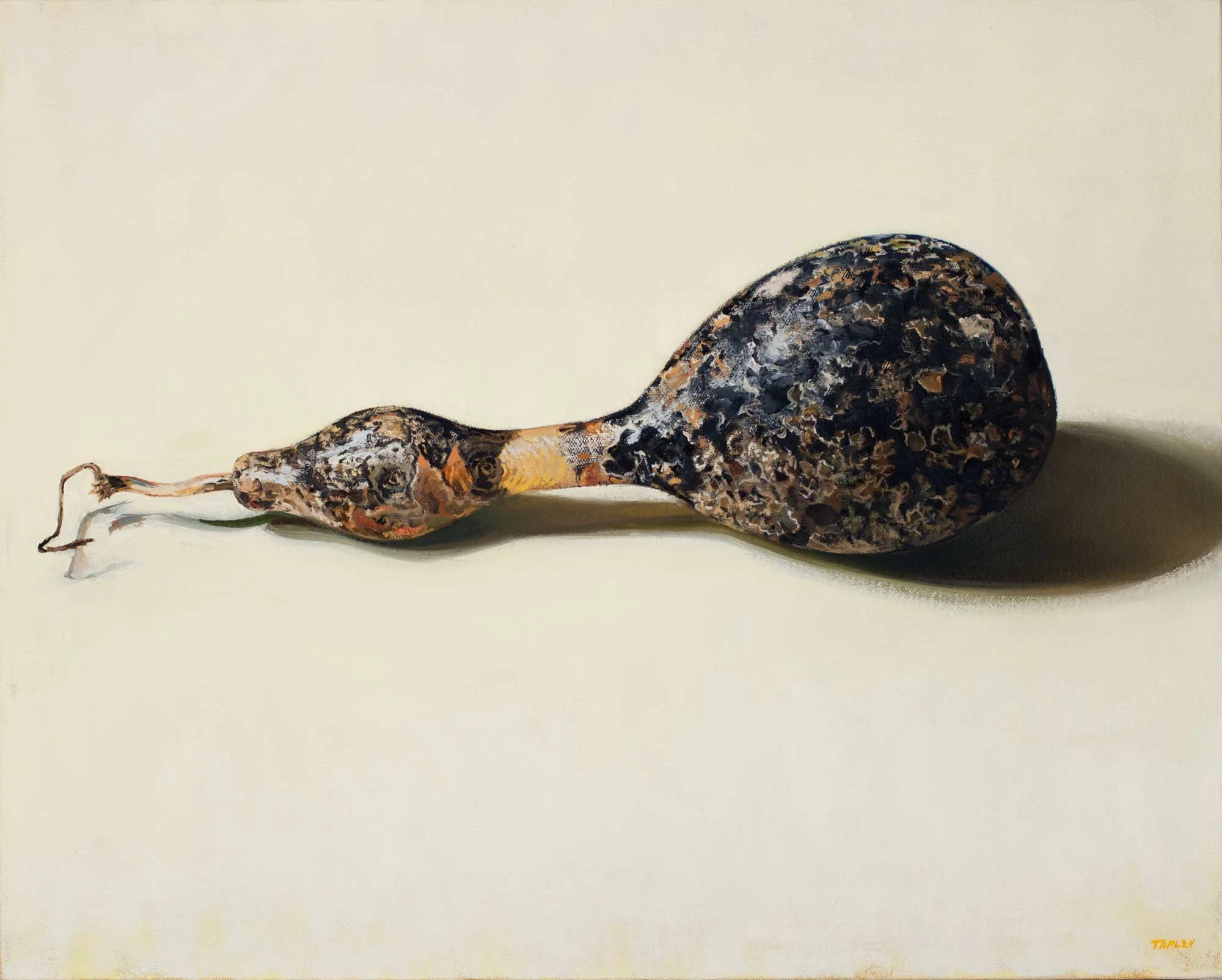 Black Gourd