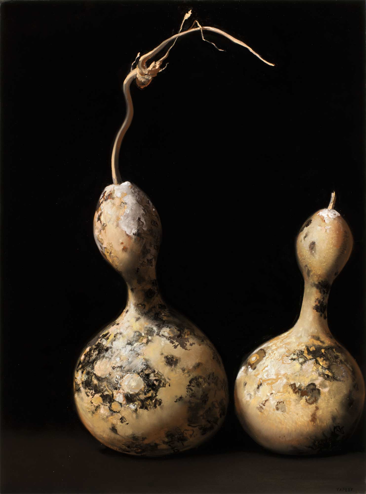 Two Gourds