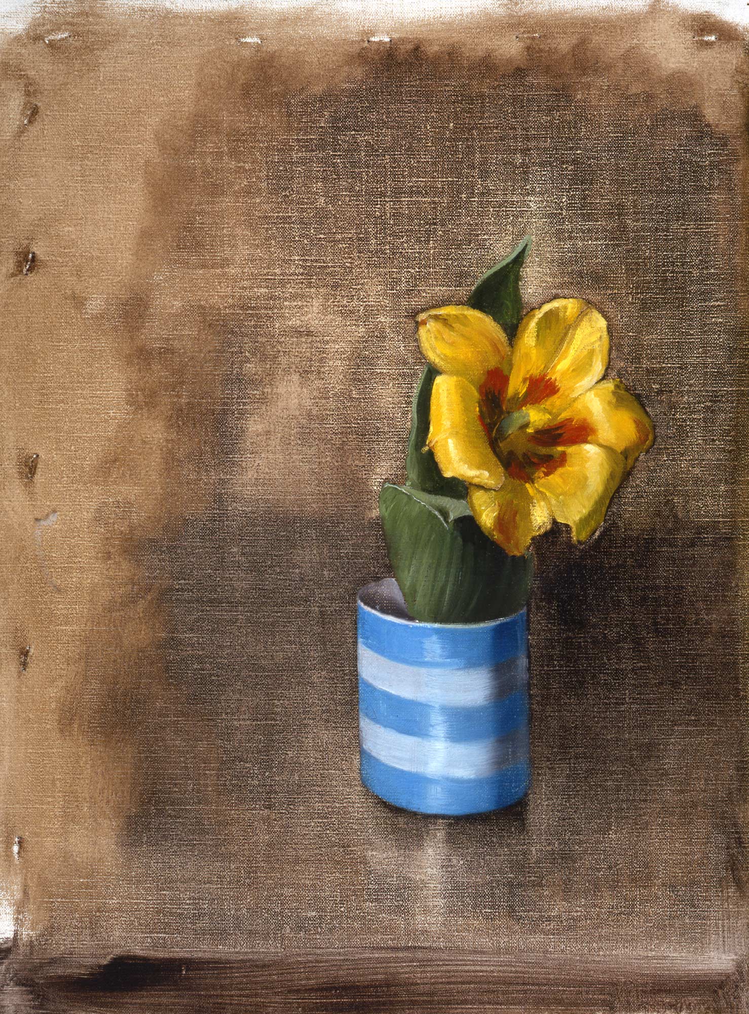 Study of a Tulip in a Cup
