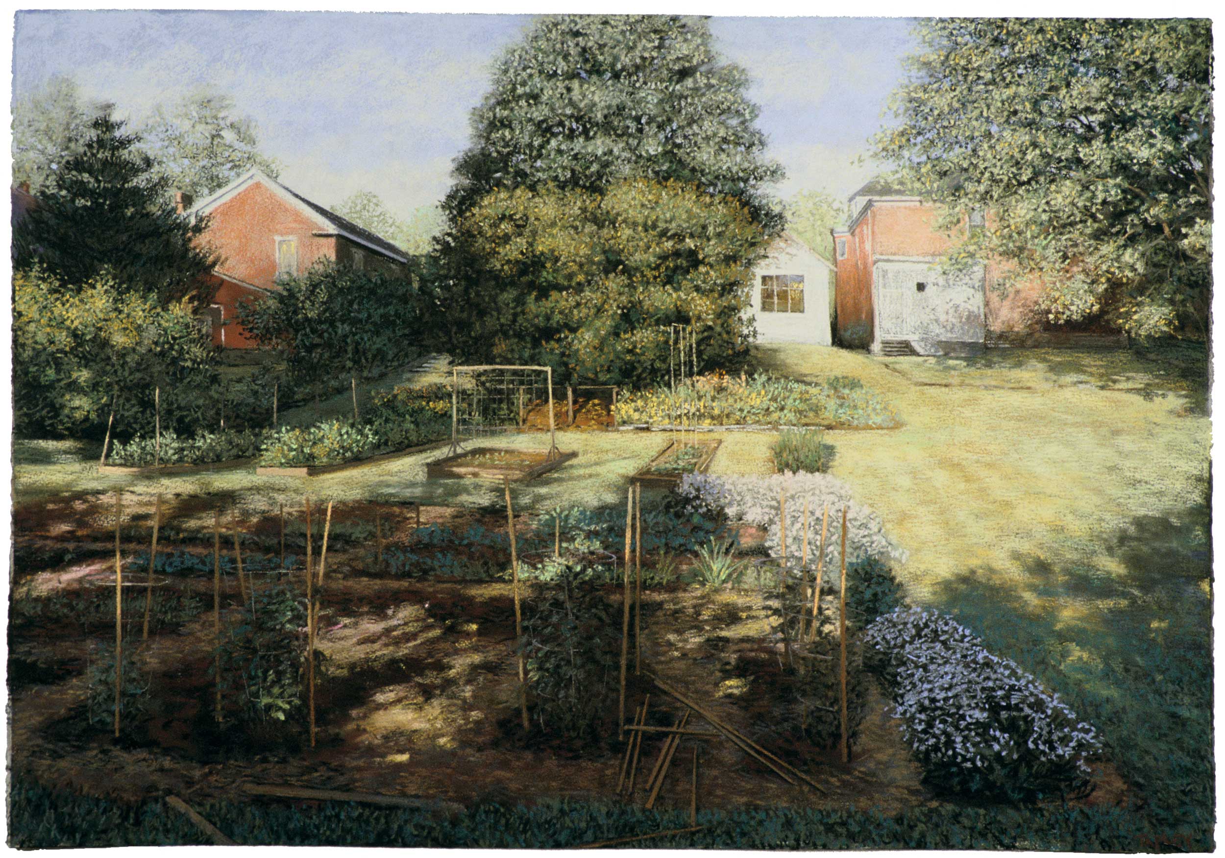 The Kitchen Garden In Shadow