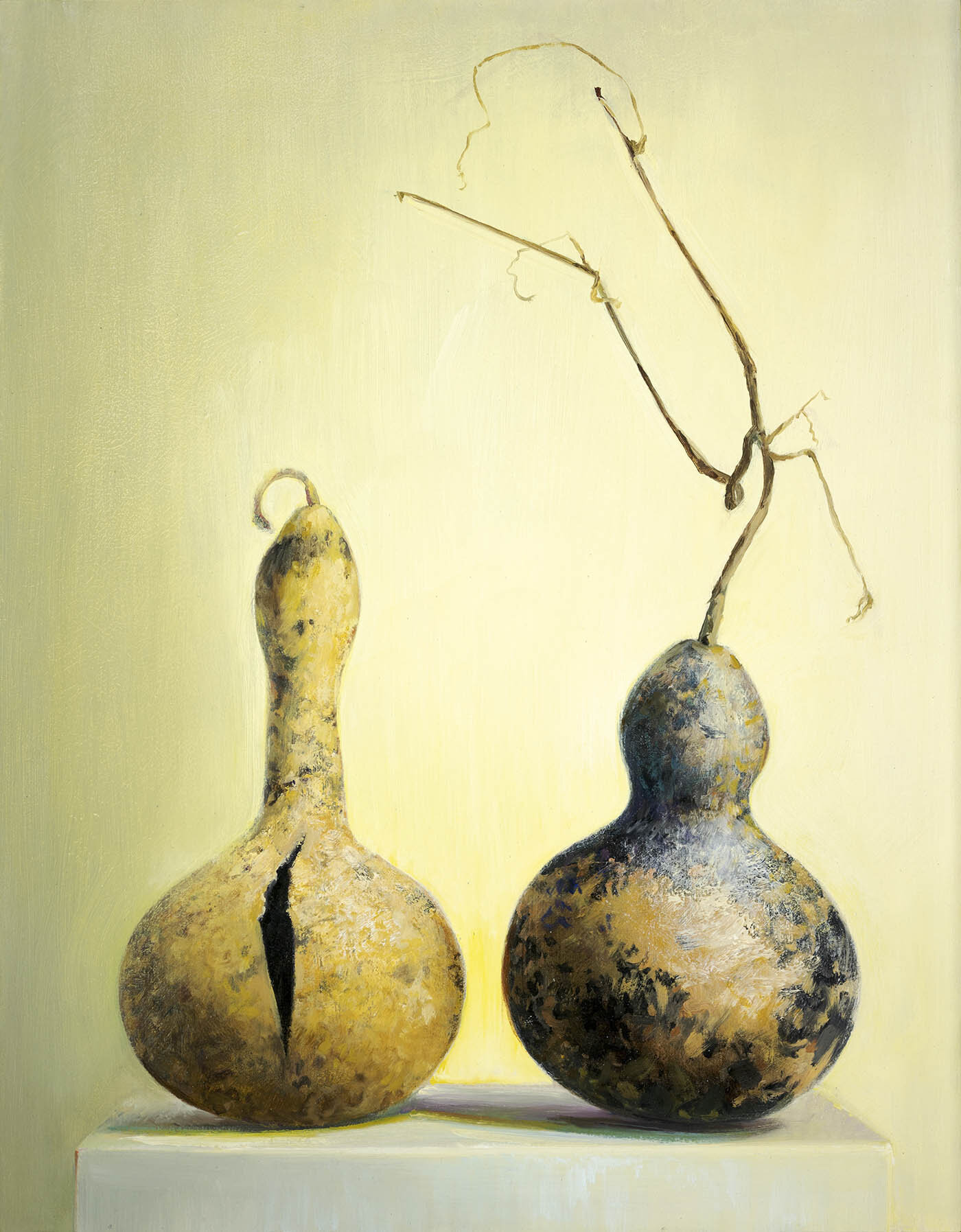 Cleft Gourd