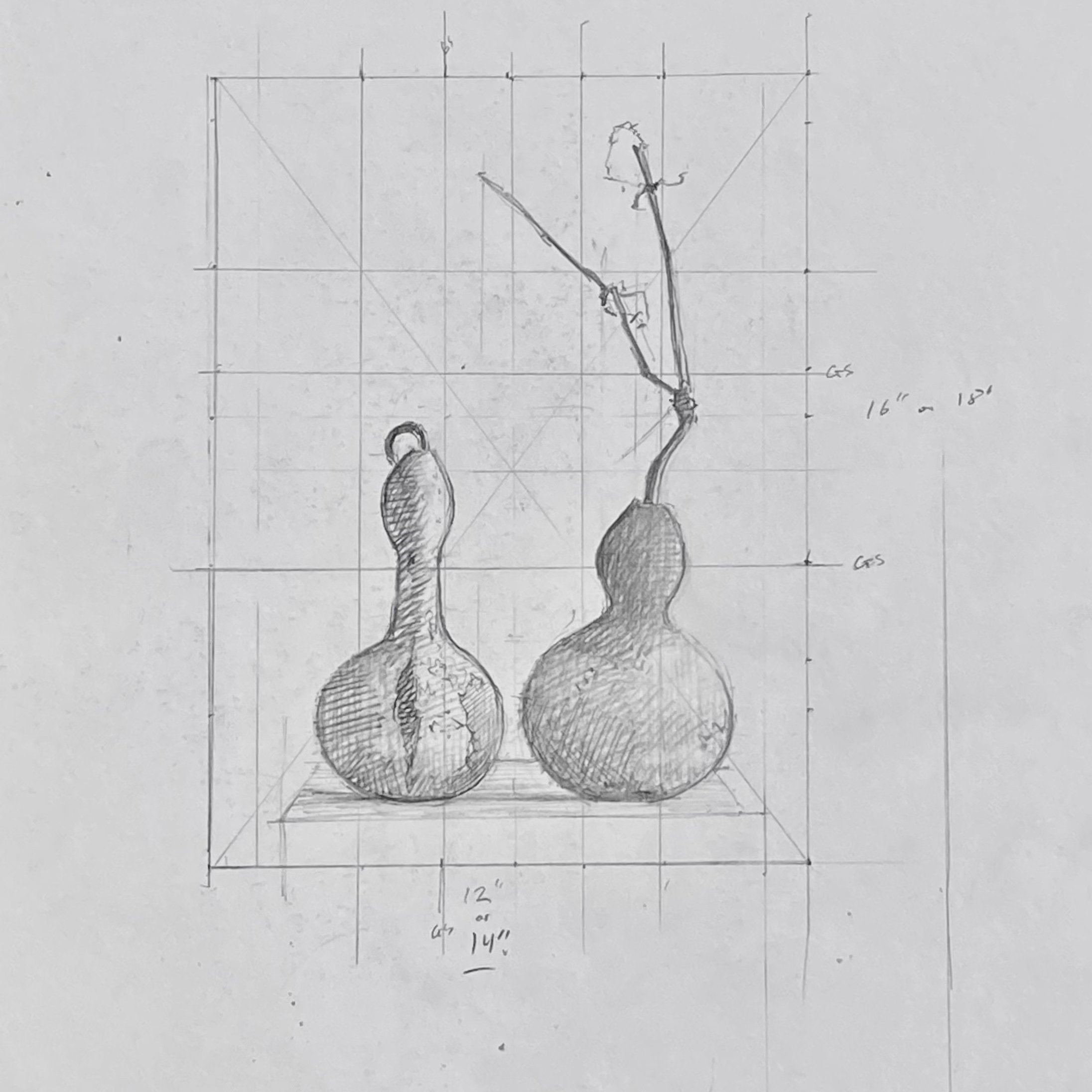 Study for Cleft Gourd