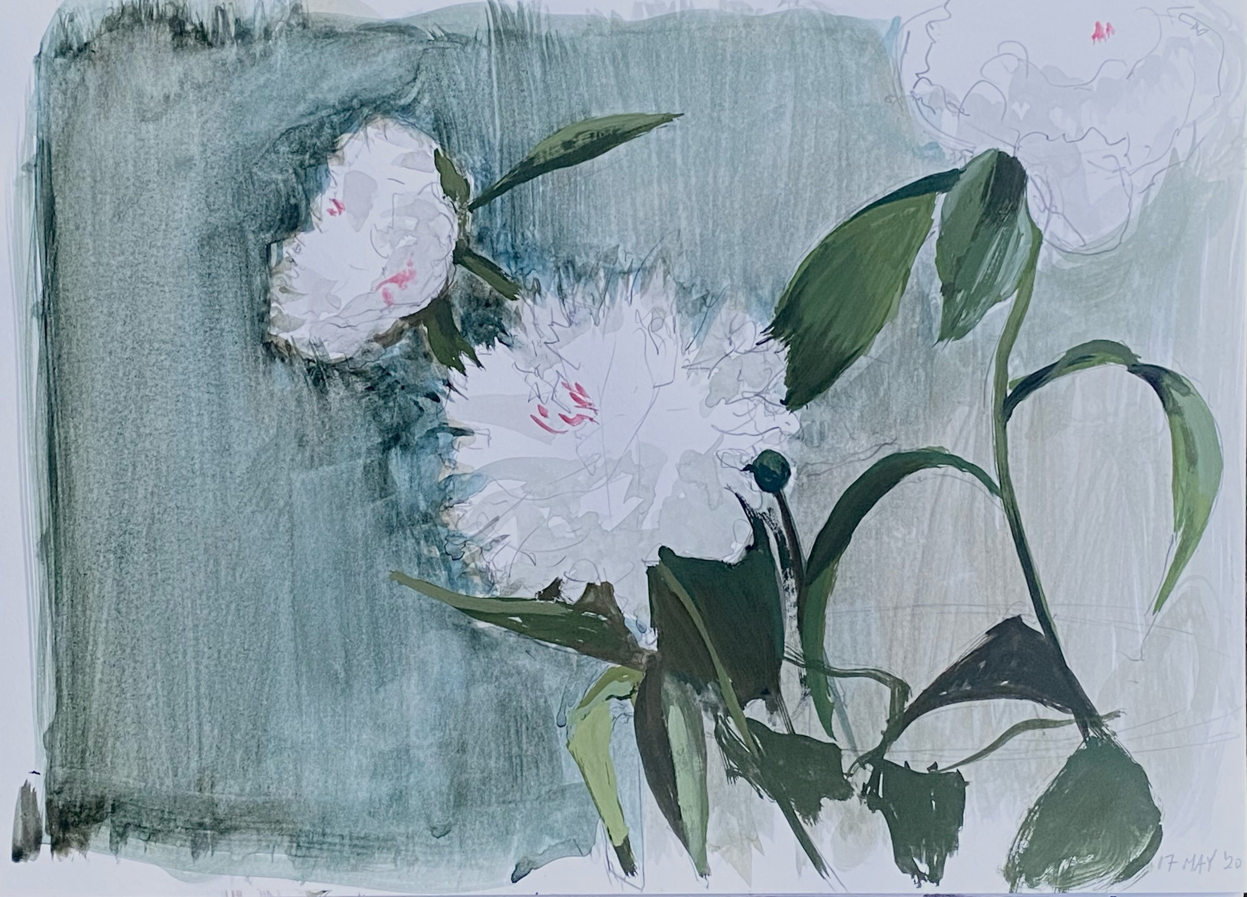 Peonies