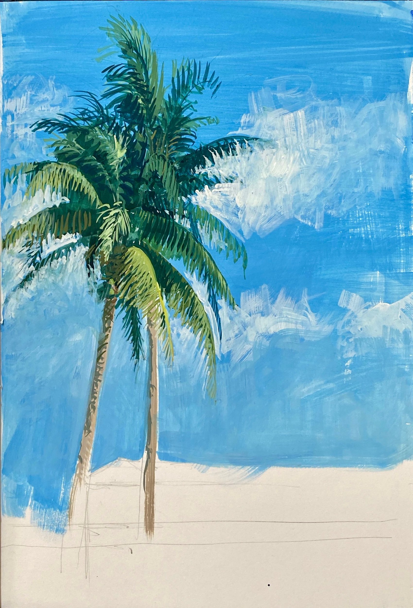 Palm Tree, Anna Maria Island