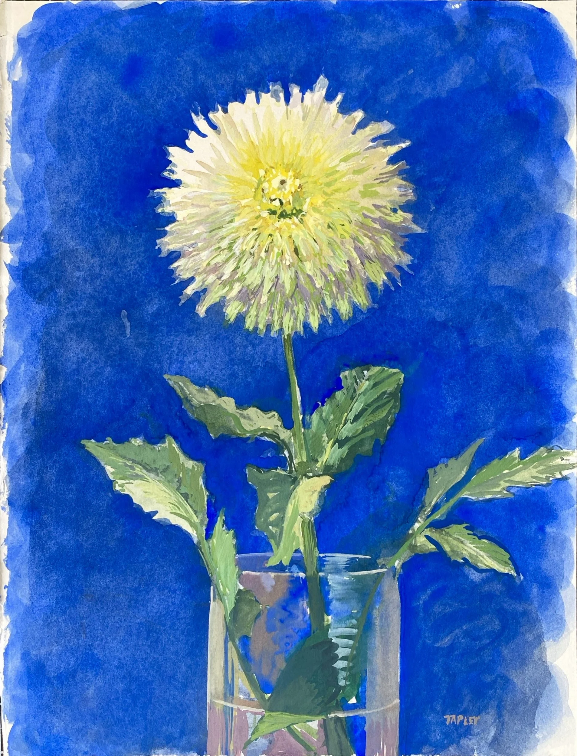Dahlia in a Glass Vase