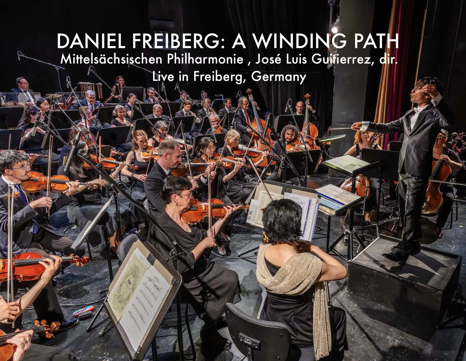 DANIEL FREIBERG- A WINDING PATH.jpeg