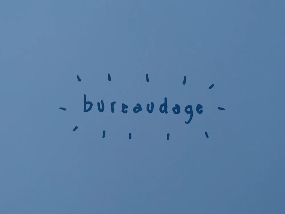 RLWeb6-bureaudage.jpg