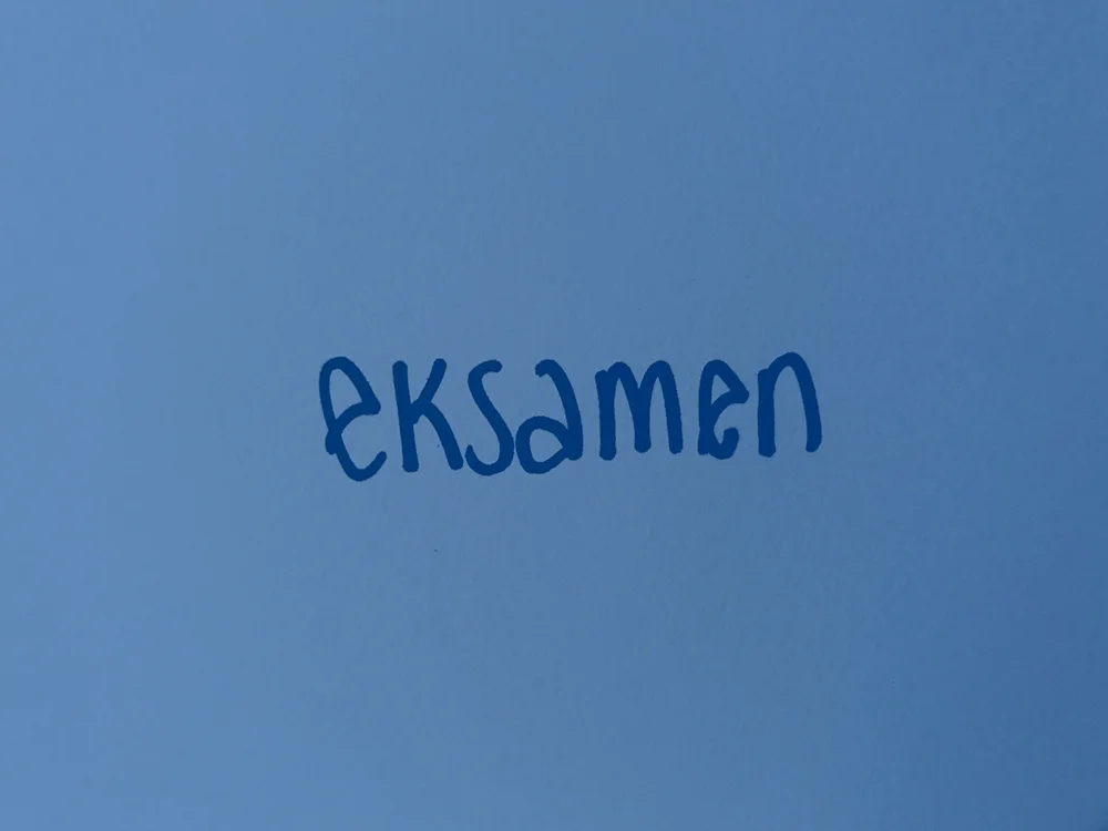 RLWeb8-eksamen.jpg