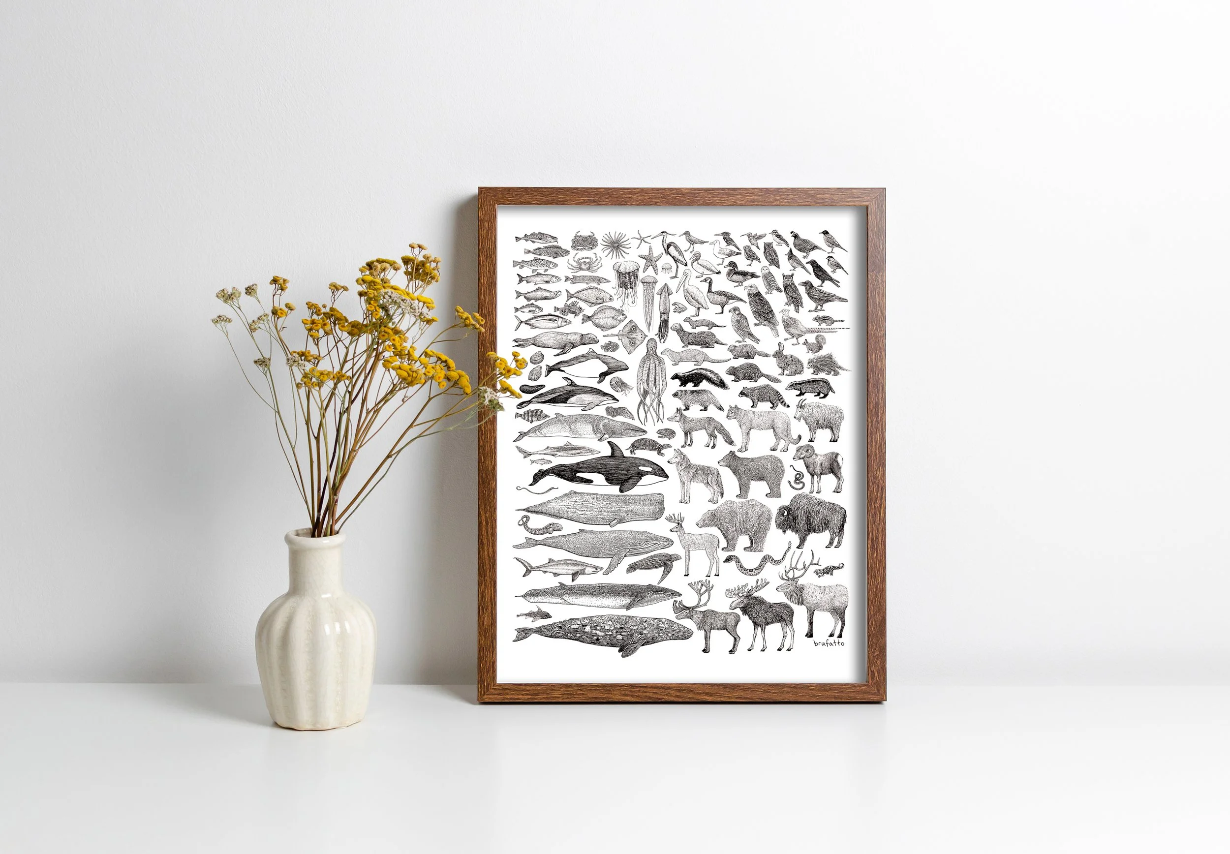 Hello Yellow Canary - 100 Species of BC Print.jpg