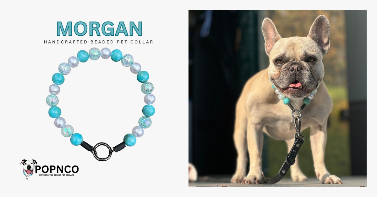 Banners - CollarModels.zip - 76_Original.PNG