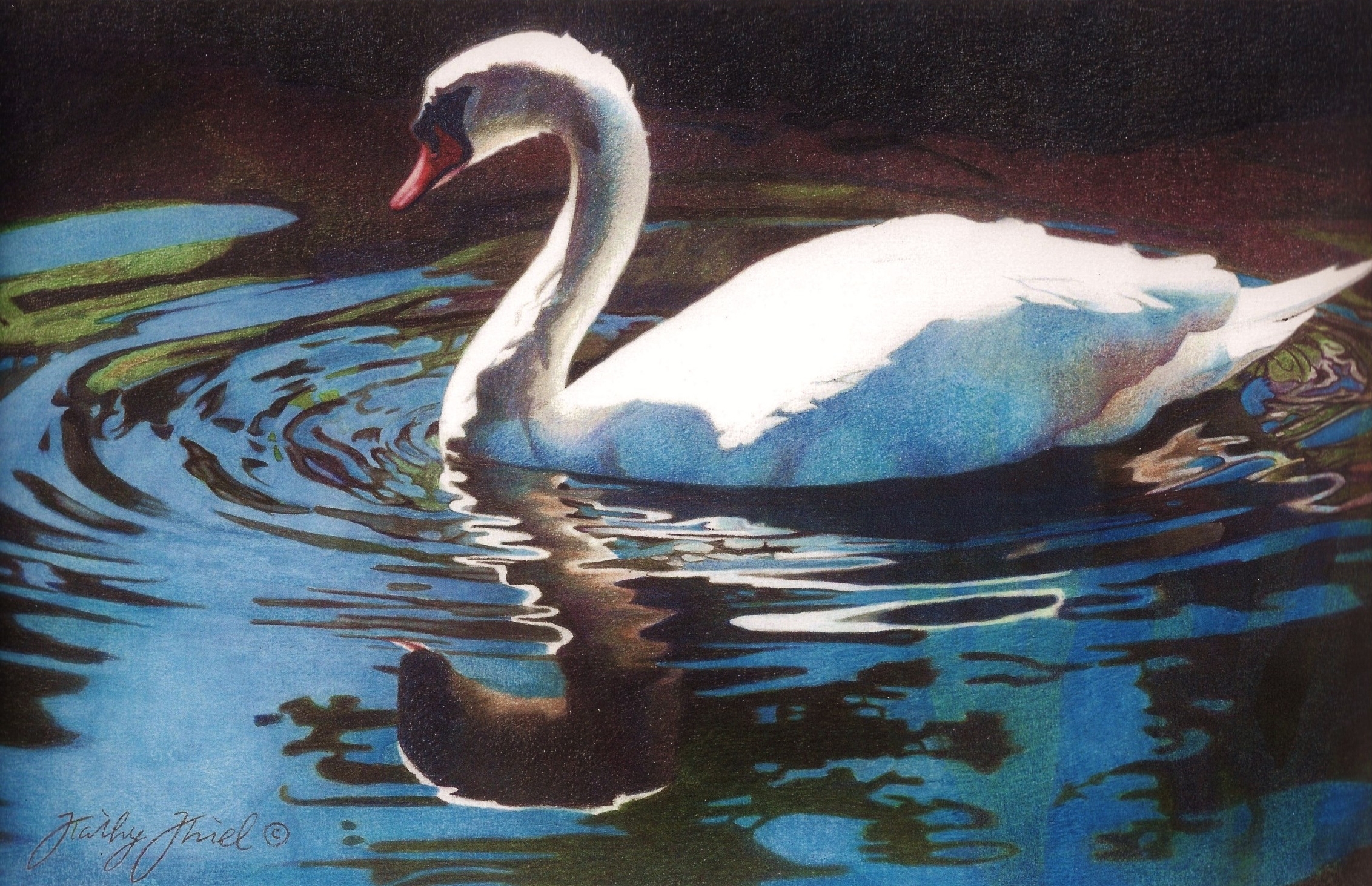 Backlit Swan.jpg