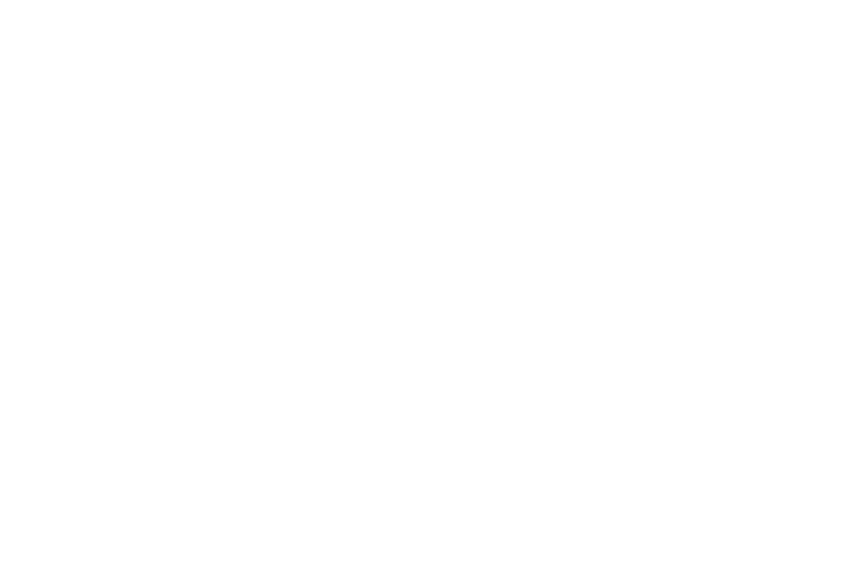 OFFICIAL SELECTION - New York Short Film Festival - 2017.png