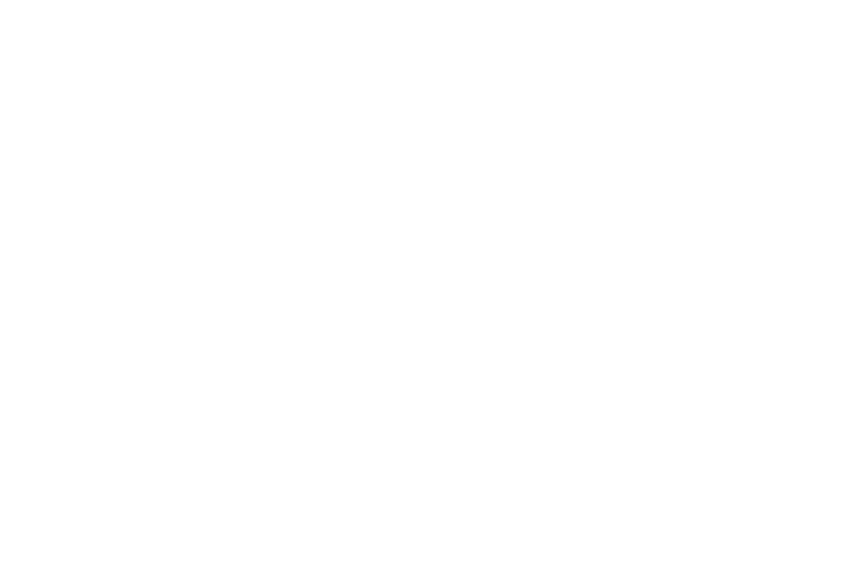 WINNER BEST DRAMA - NYC Indie Film Awards - October 2017.png