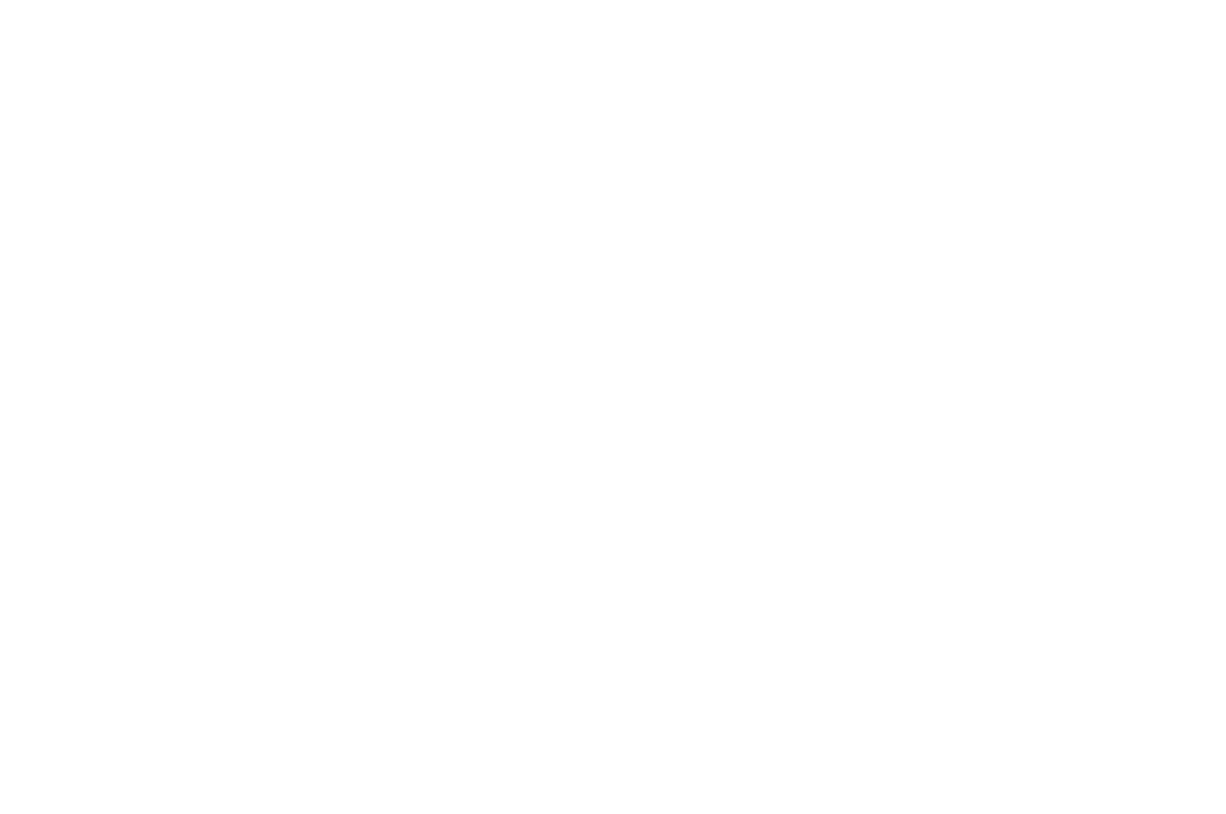 BEST SHORT - Womens Only Entertainment Film Festival - WINNER 2017.png