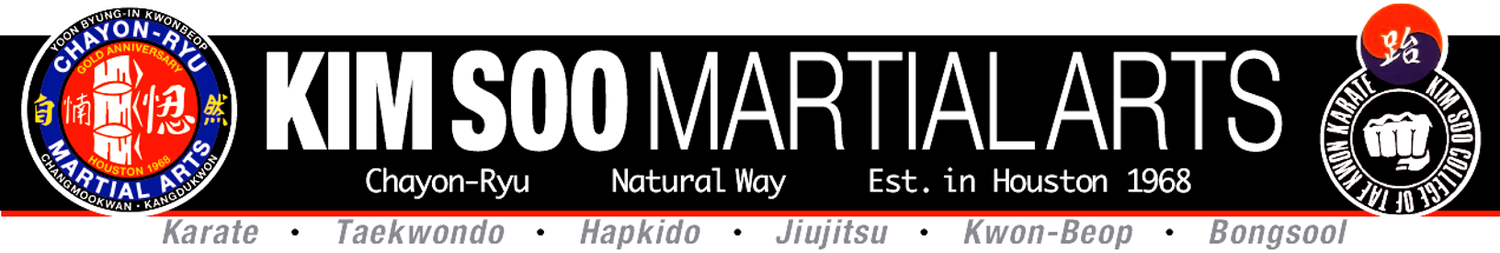 Kim Soo Karate
