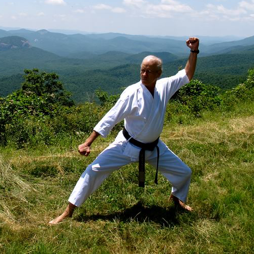 Master David Mitchell 8th Dan Black Belt Promoted June, 2011 Chief Instructor, Kim Soo Karate of North Carolina