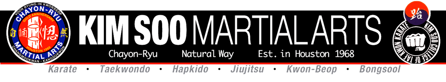 Kim Soo Karate