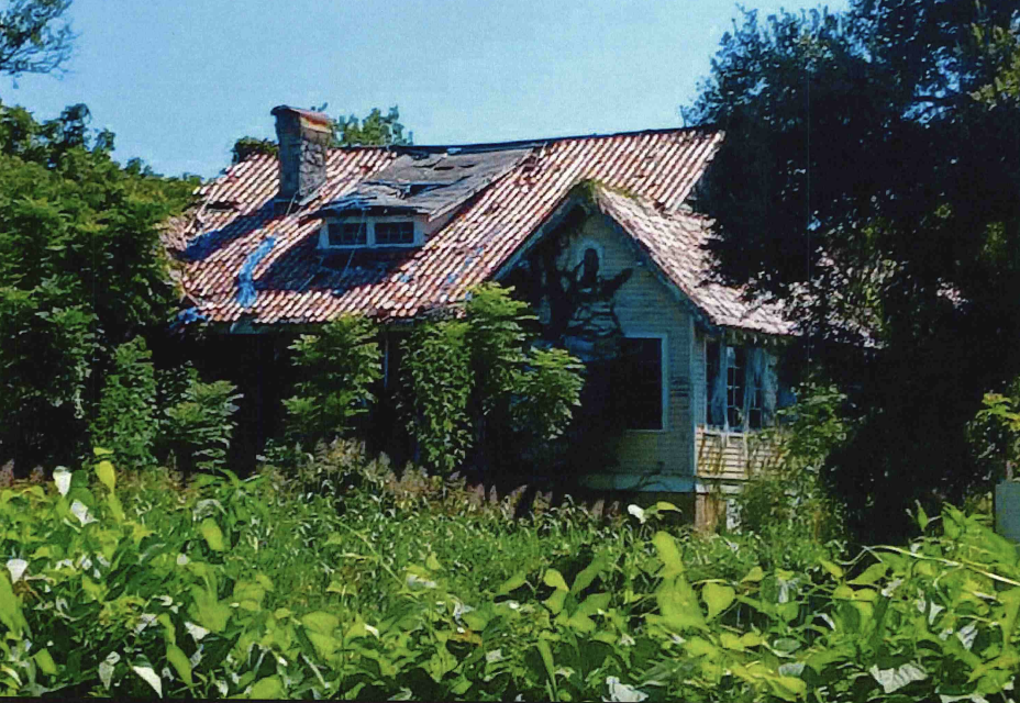   LOCATION: 2020 Farragut Street&nbsp;&nbsp;    THREAT: Demolition by Neglect   In 1932, Dr. Alfred King acquired an expansive parcel near Algiers Naval Station, where he and his wife built an idiosyncratic interpretation of a Colonial Revival-style 