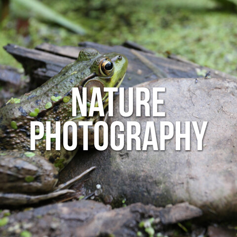 NATURE-PHOTOGRAPHY-TITLE-PAGE.jpg