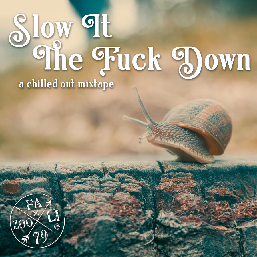 SLOW-IT-THE-FUCK-DOWN-MIXTAPE.jpg