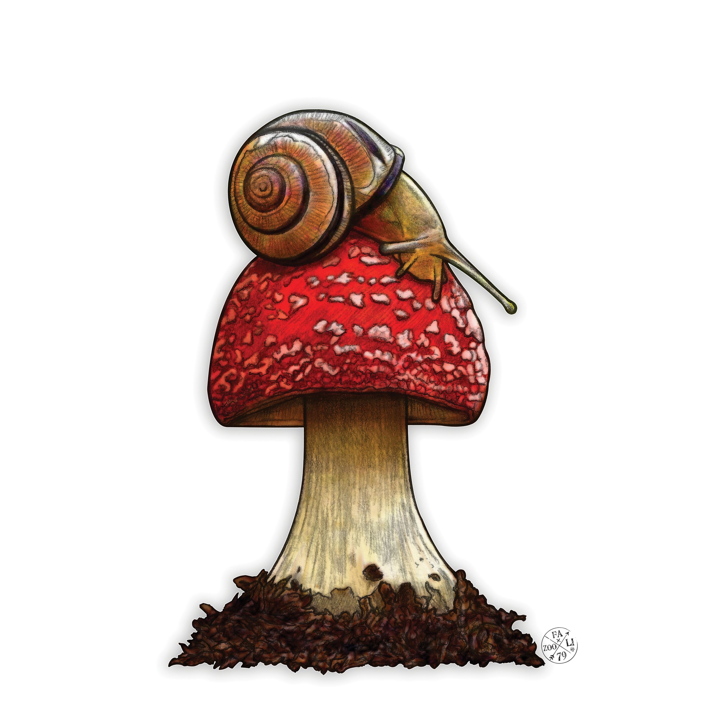 Shroom & Snail