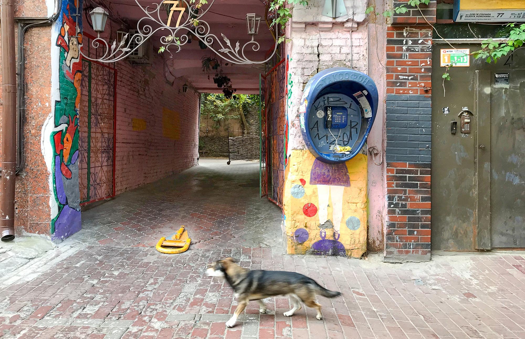 deafwalls08a.jpg