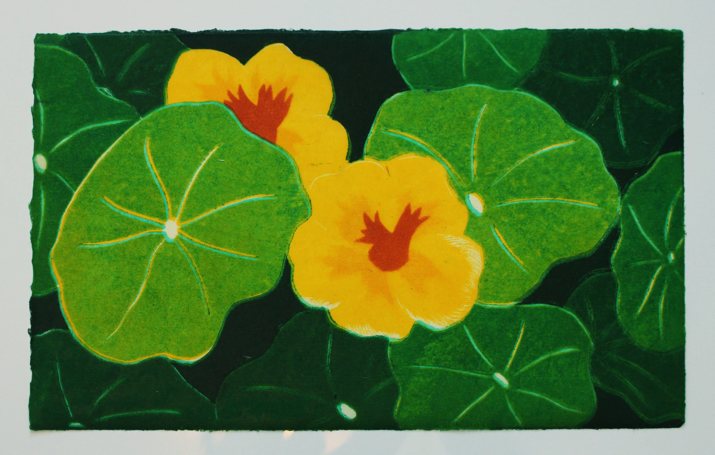 Nastursiums